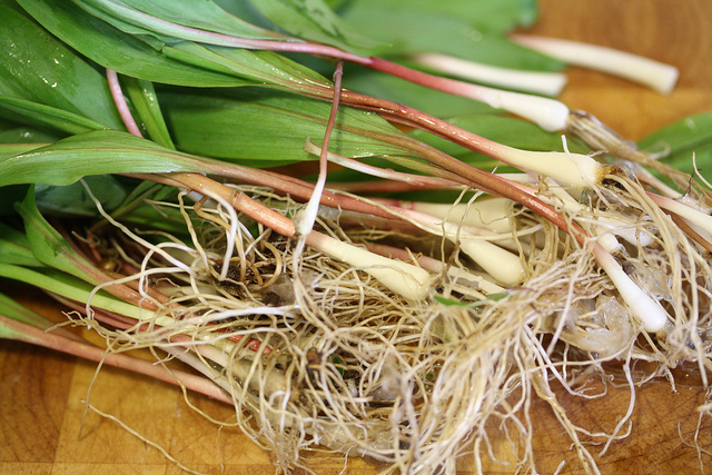 ramps, Danielle Scott (CC-BY-SA)