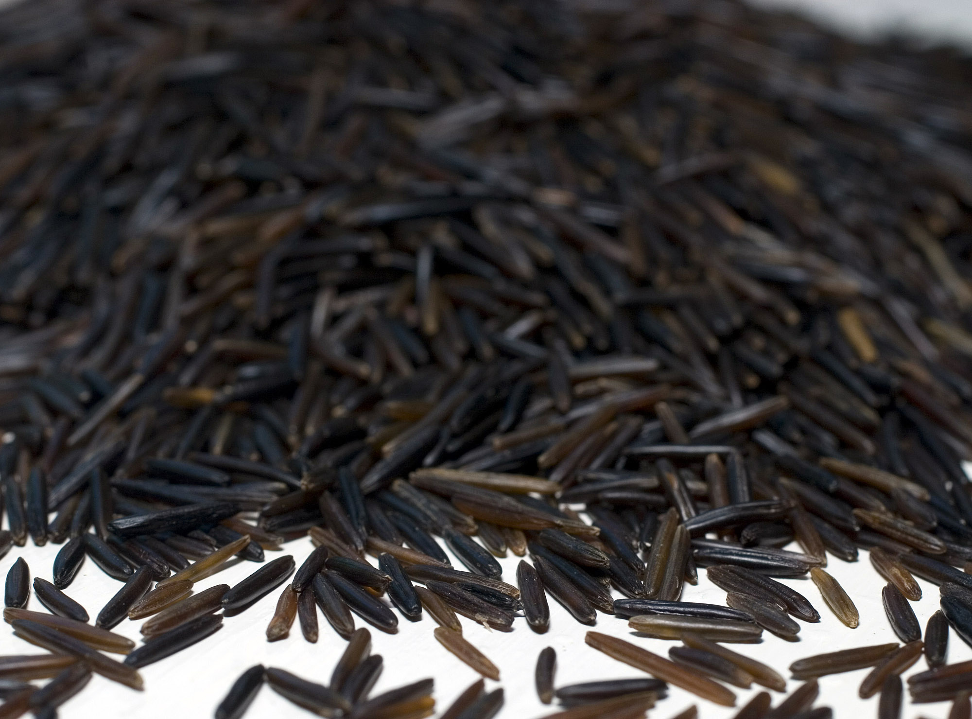 Wild rice seeds