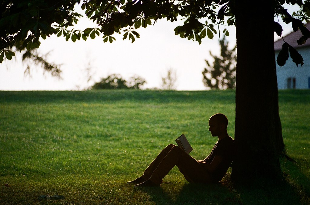 man reading under tree