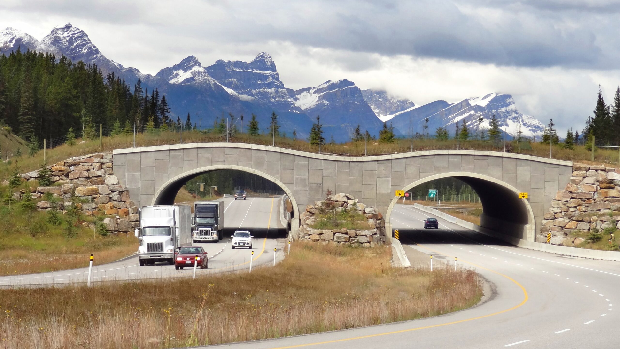 wildlife overpasses on the Trans-Canada Highway in Alberta