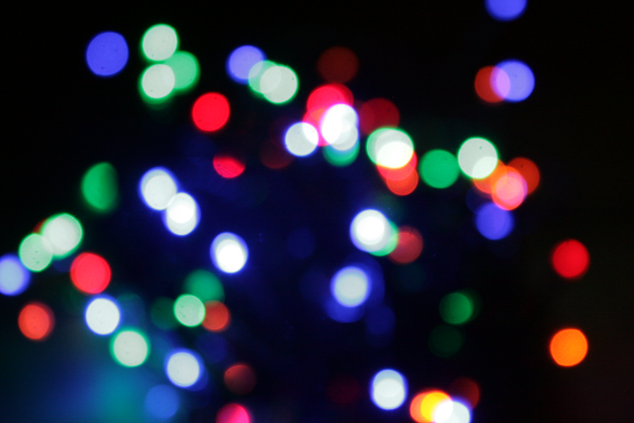 Advice for putting up holiday lights, Three business owners explain 'B ...