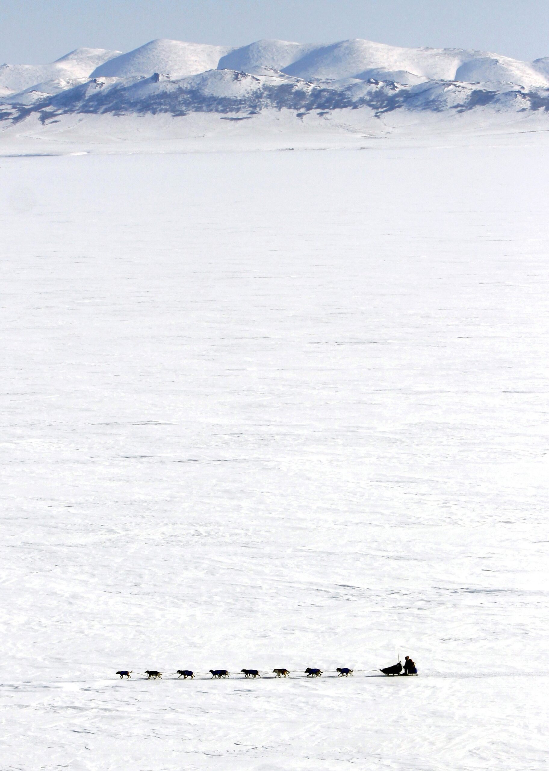 Canadian musher Sebastian Schnuelle drives his team across Norton Bay in the Iditarod