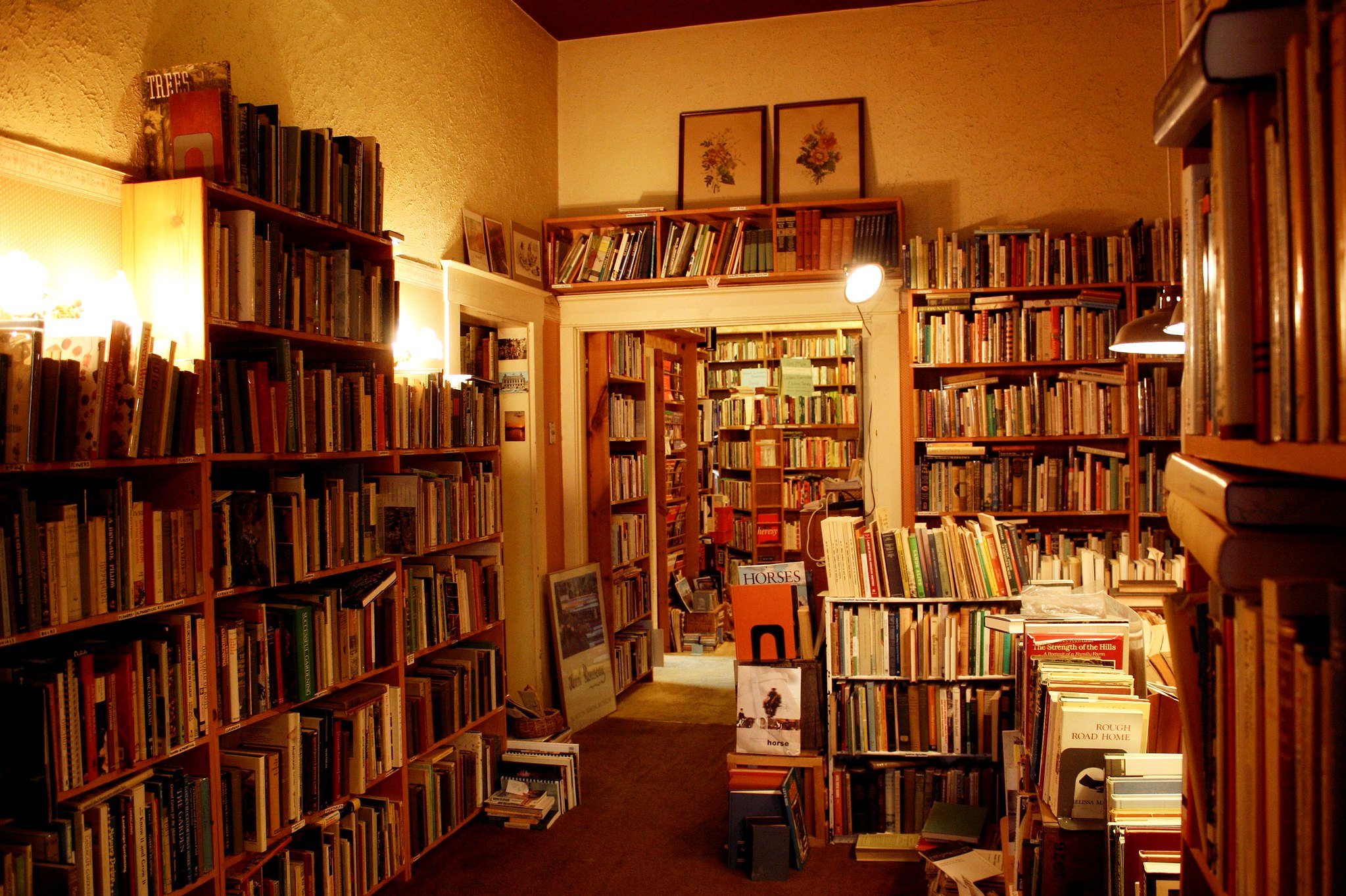 A used bookstore