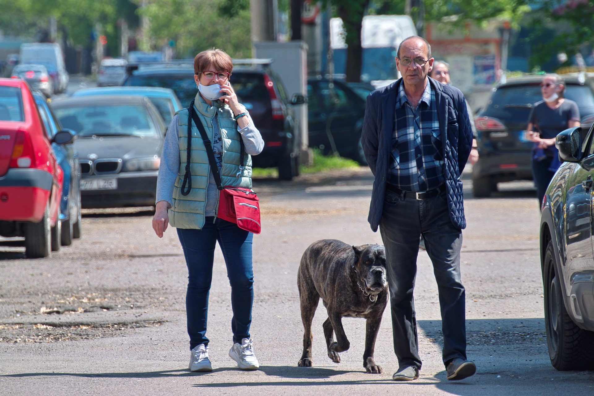 Man and woman in street with dog.