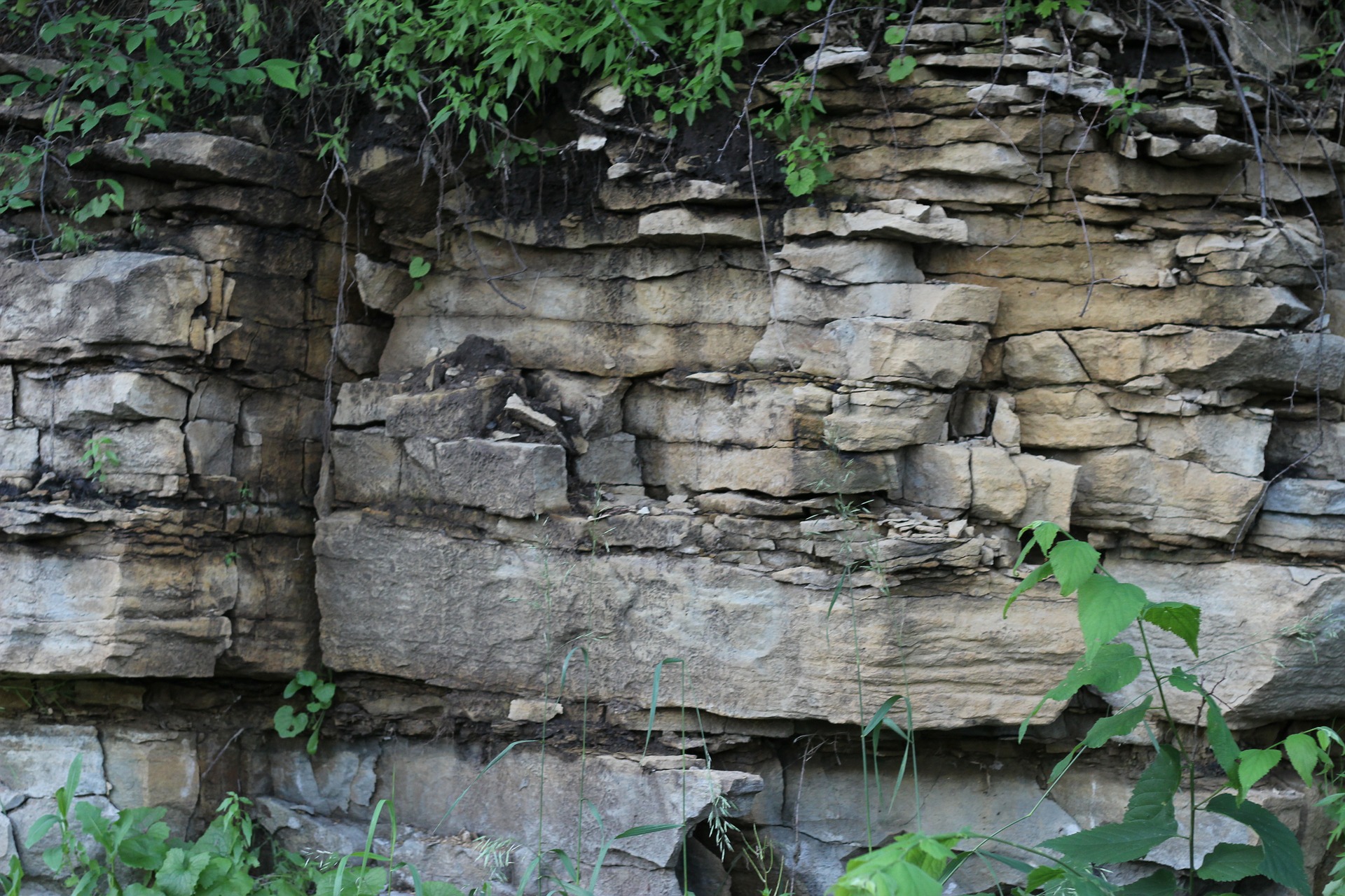 Exposed sedimentary rock wall.