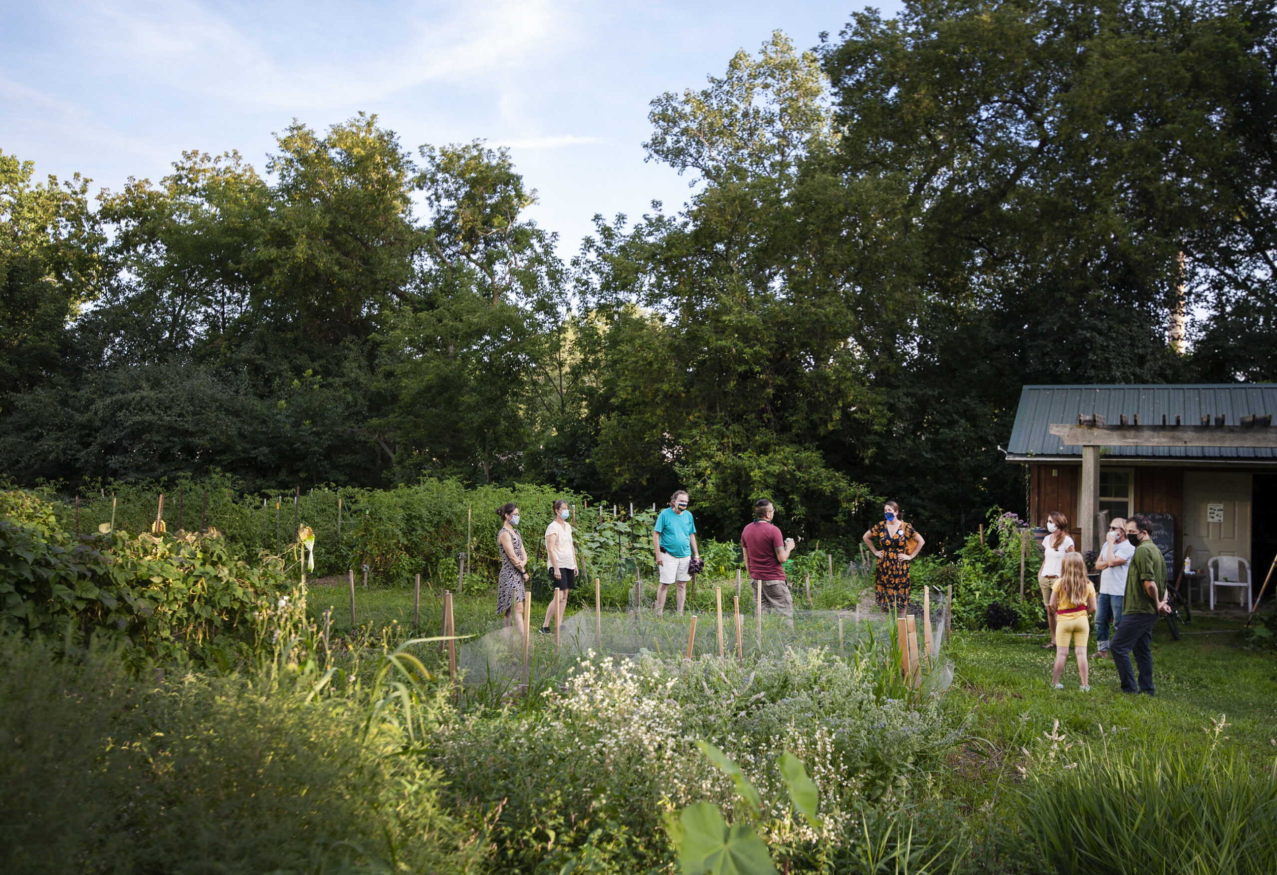 a group of people can be seen from afar as light hits greenery in the garden