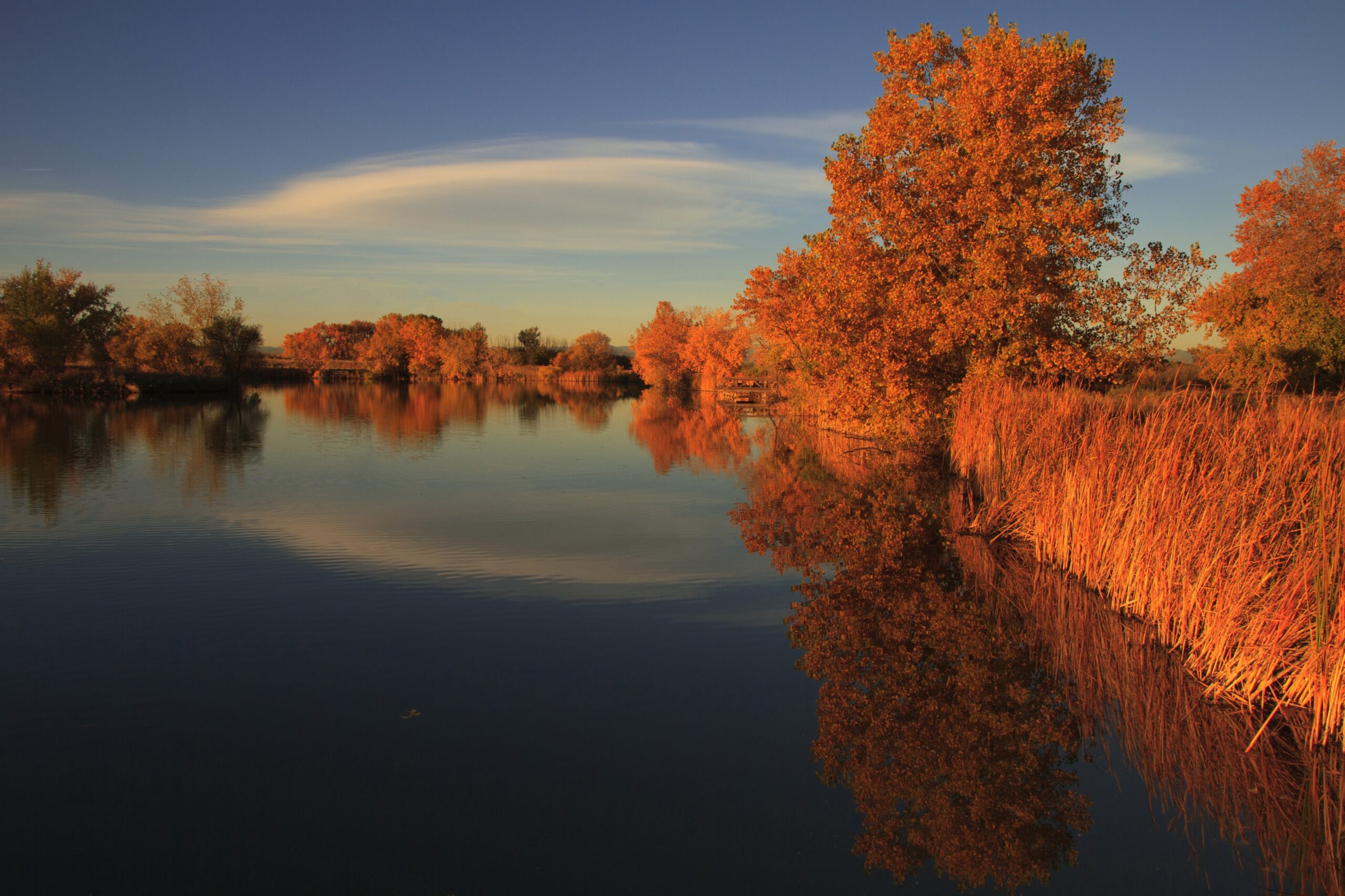Autumn on Lake Mary