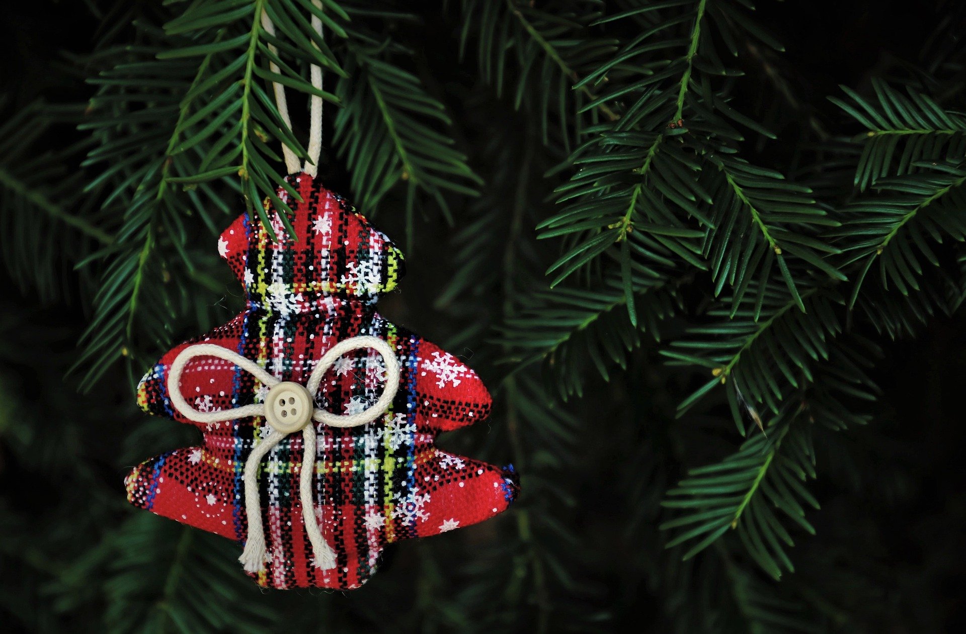 Plaid Christmas tree ornament hanging on tree.