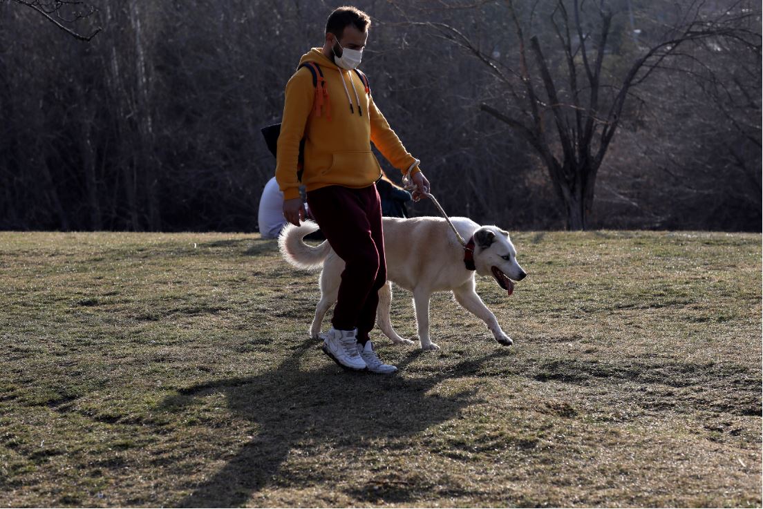 A man wearing a face mask walks a dog on a grassy field