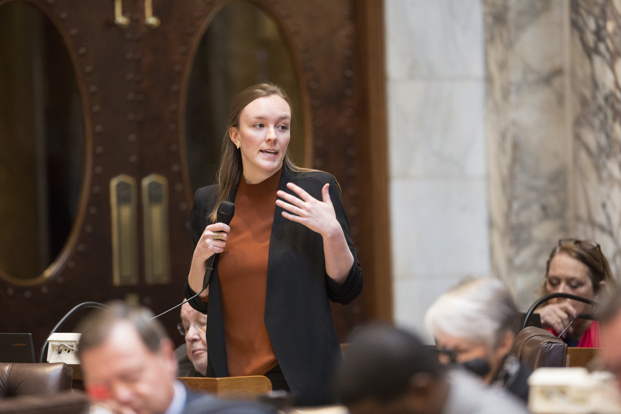 Rep. Greta Neubauer addresses her colleagues in the State Assembly