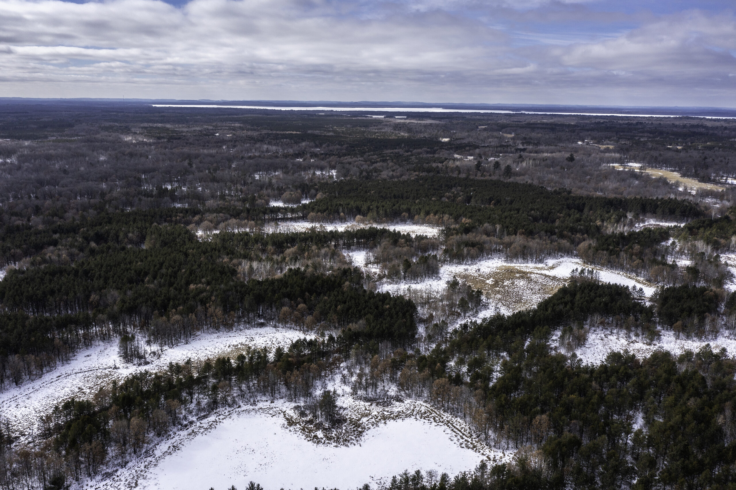 A conservation group aims to use its purchase of more than 3,000 acres of central Wisconsin forest land to increase biodiversity and preserve wetlands. 