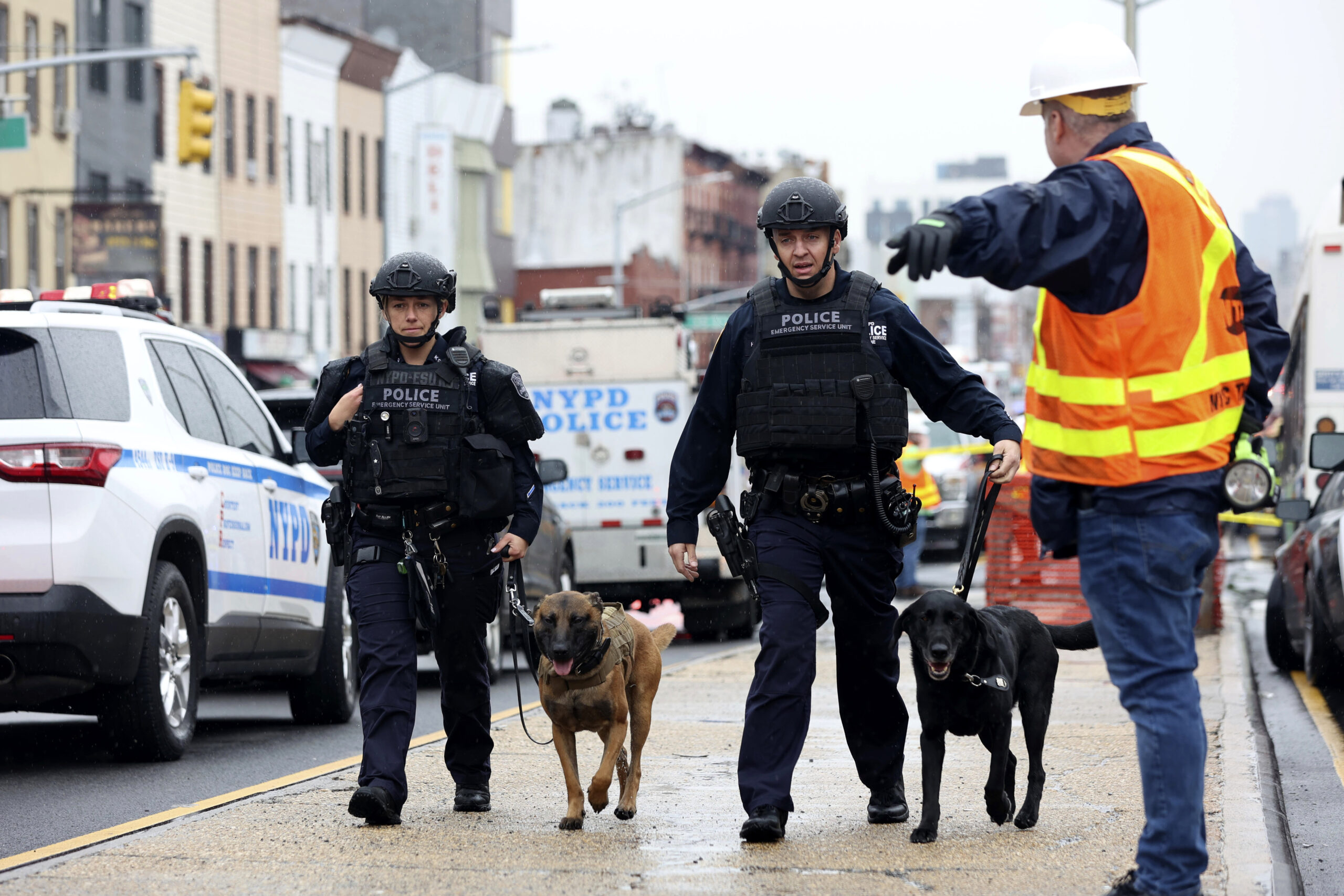 Officers with bomb-sniffing dogs look over the area after a shooting on a subway train