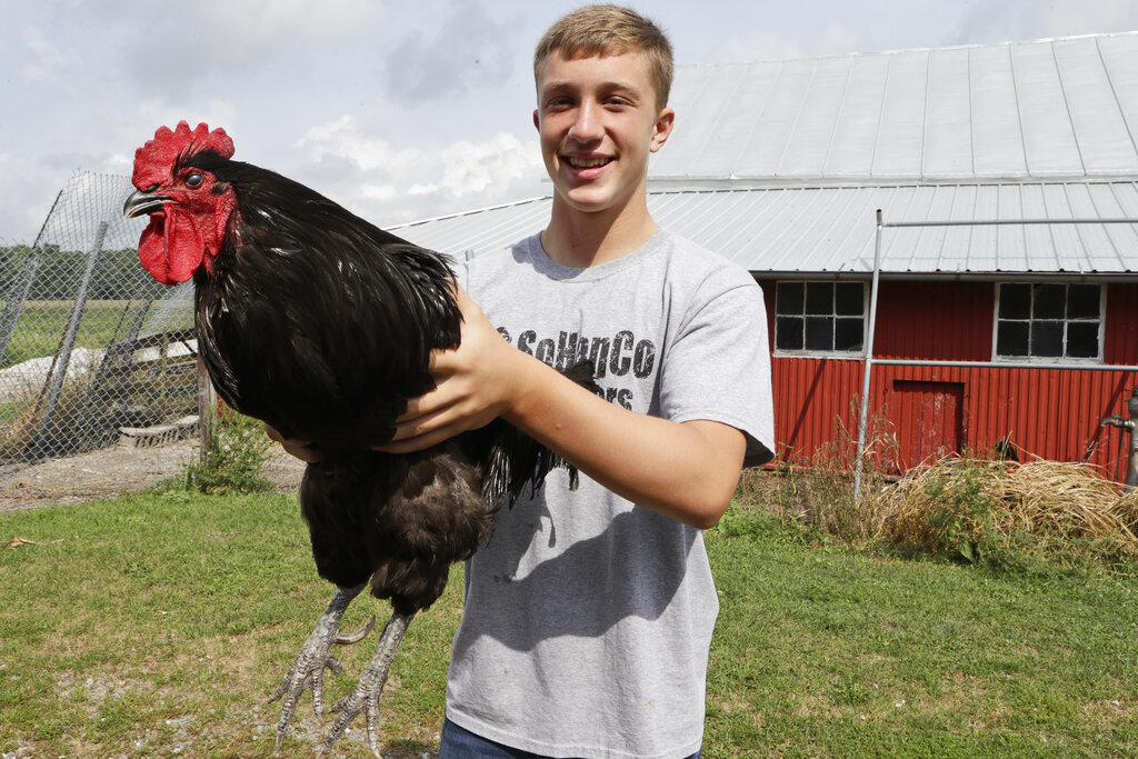 A teenage boy holds up a rooster outside a barn.