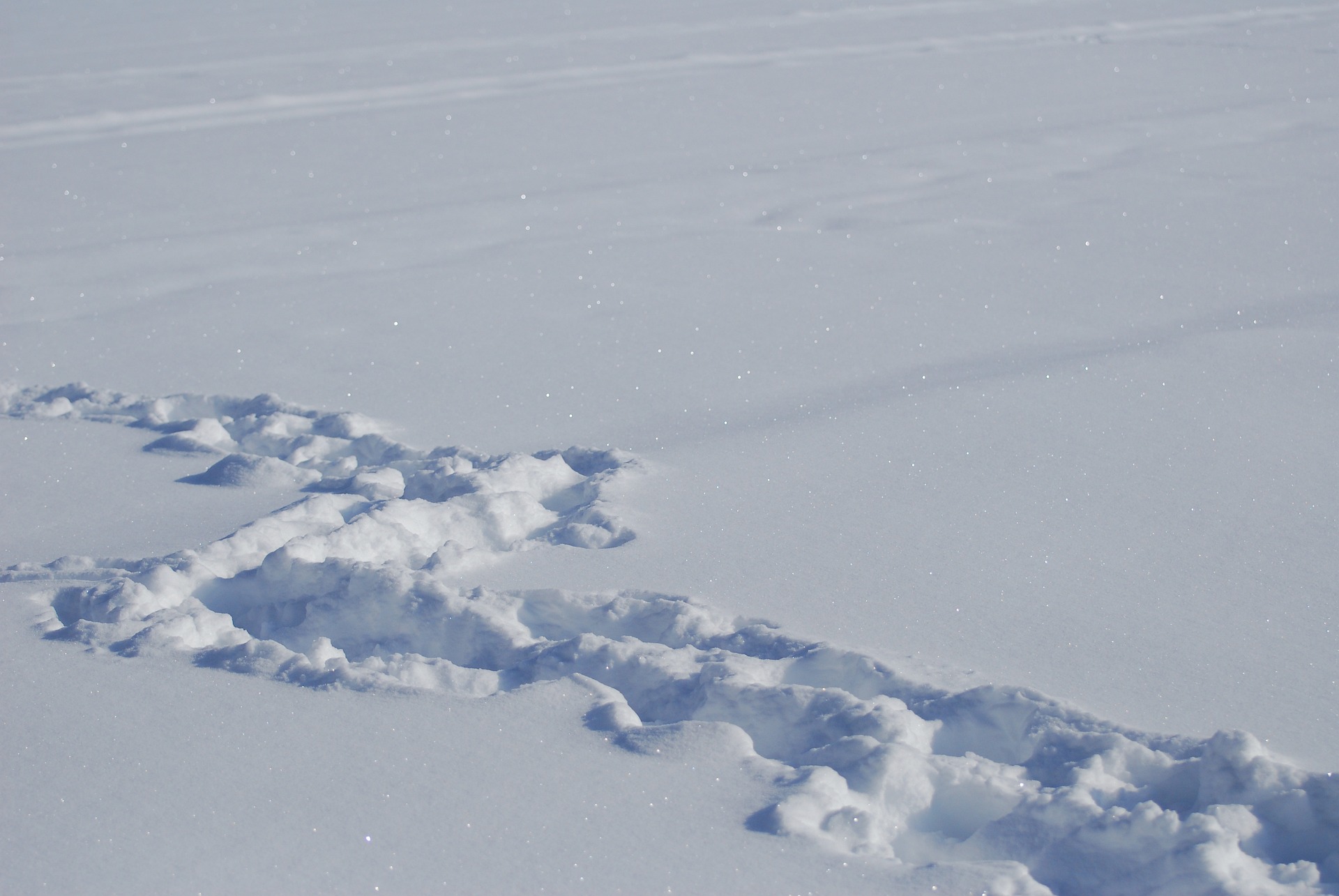 Trail of footprints in deep snow.