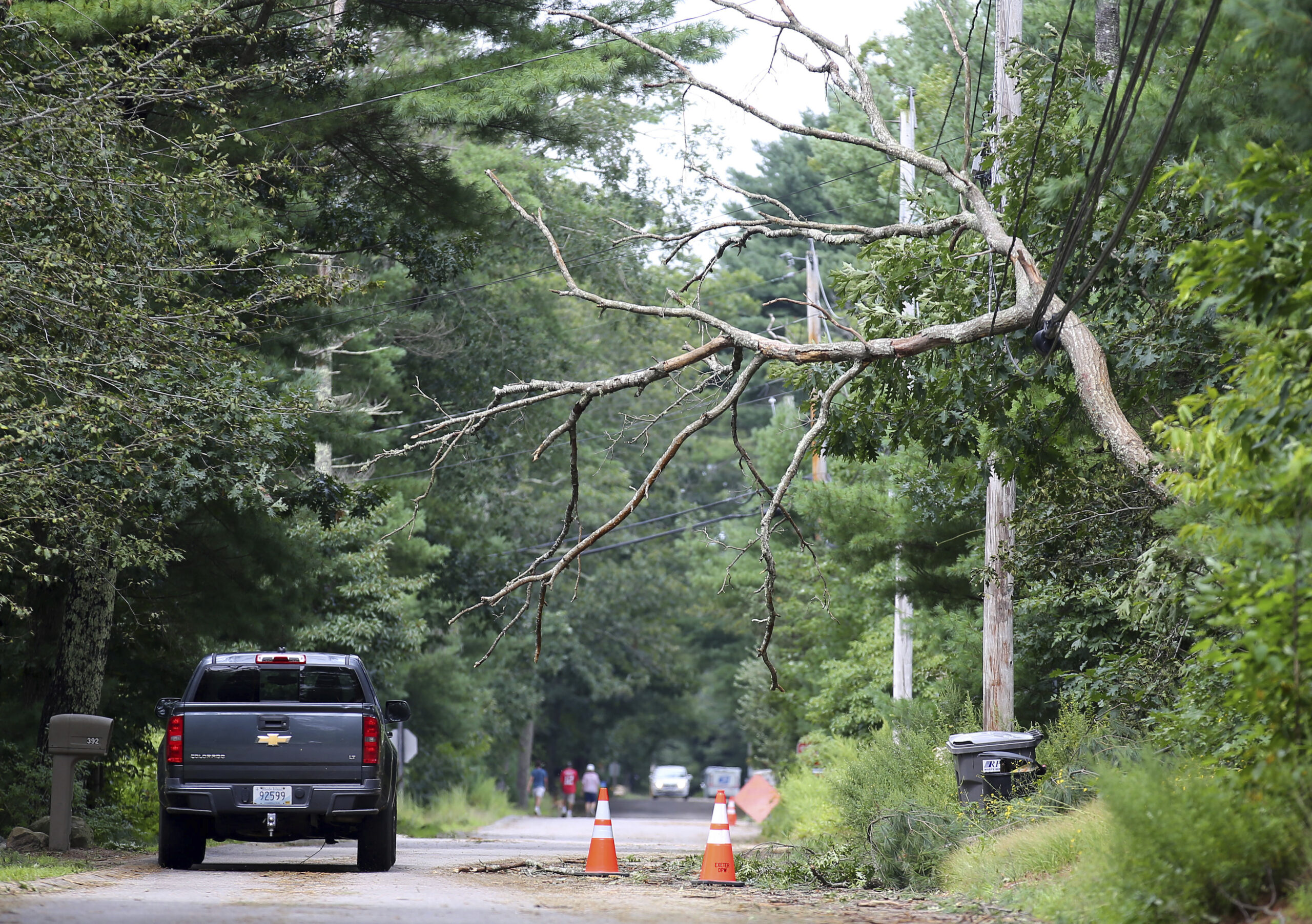 A truck goes around a tree that's fallen onto an electrical power line after a storm