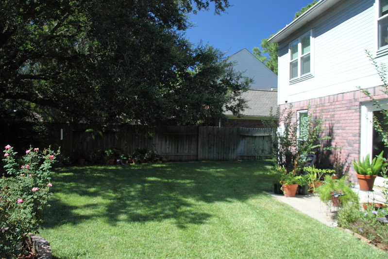 yard shaded by tree