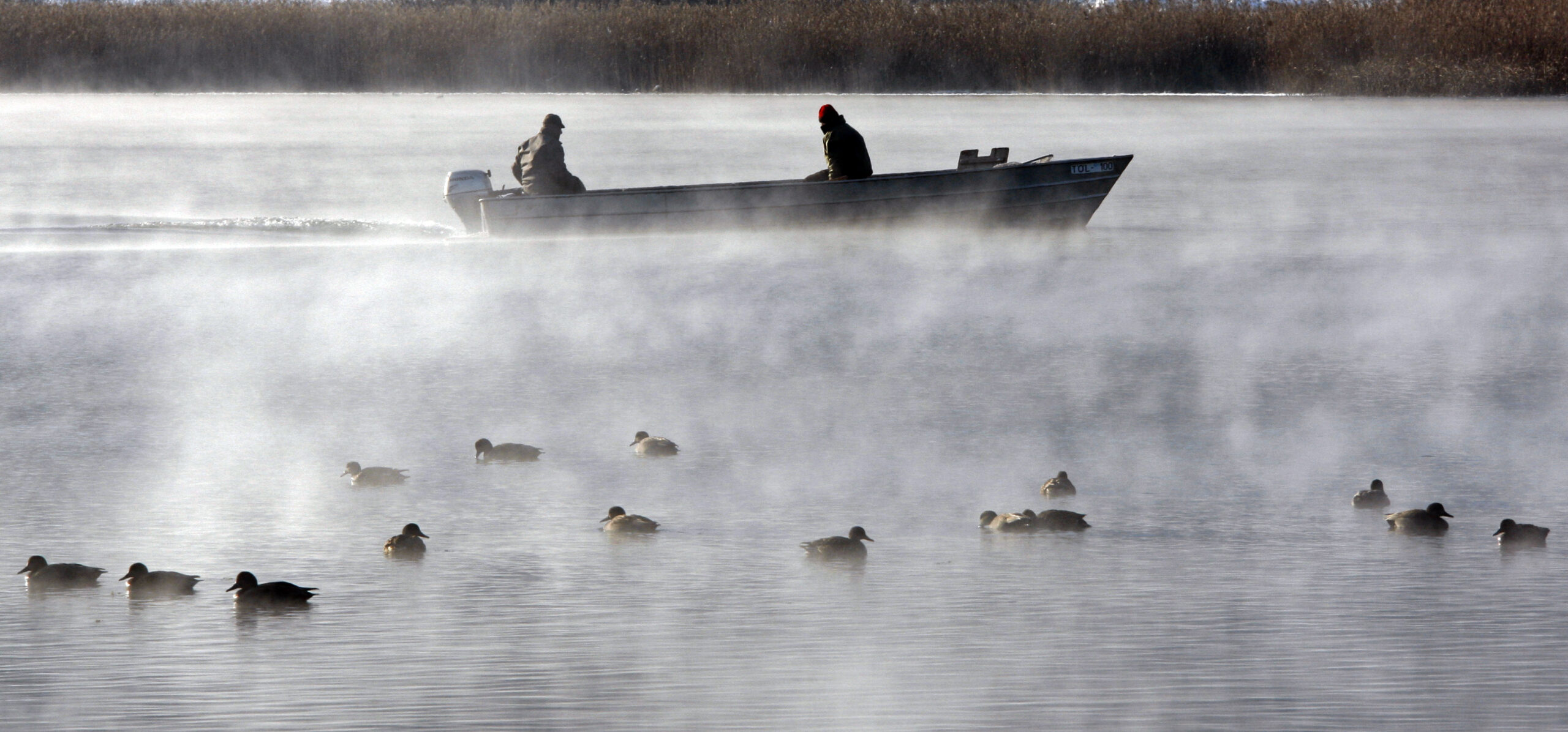 Two people sit in a john boat and pass ducks floating in the water.