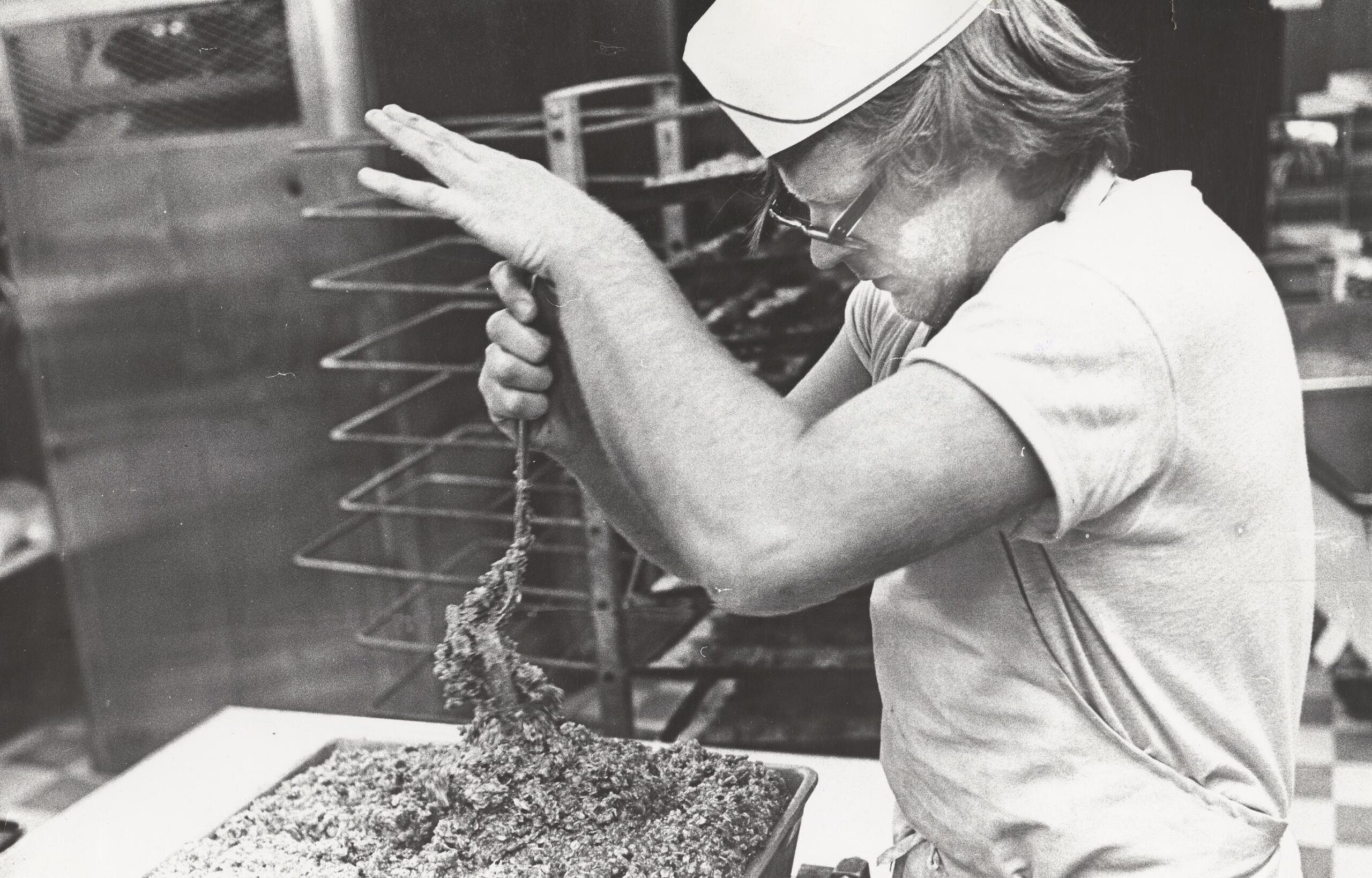 Wisconsin conservation group bringing back Madison’s famous Guerrilla Cookie