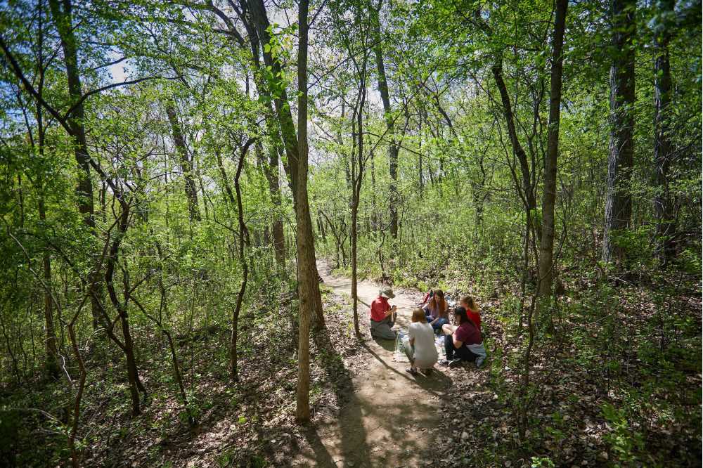 Forest bathing experience for kids with mental health challenges.
