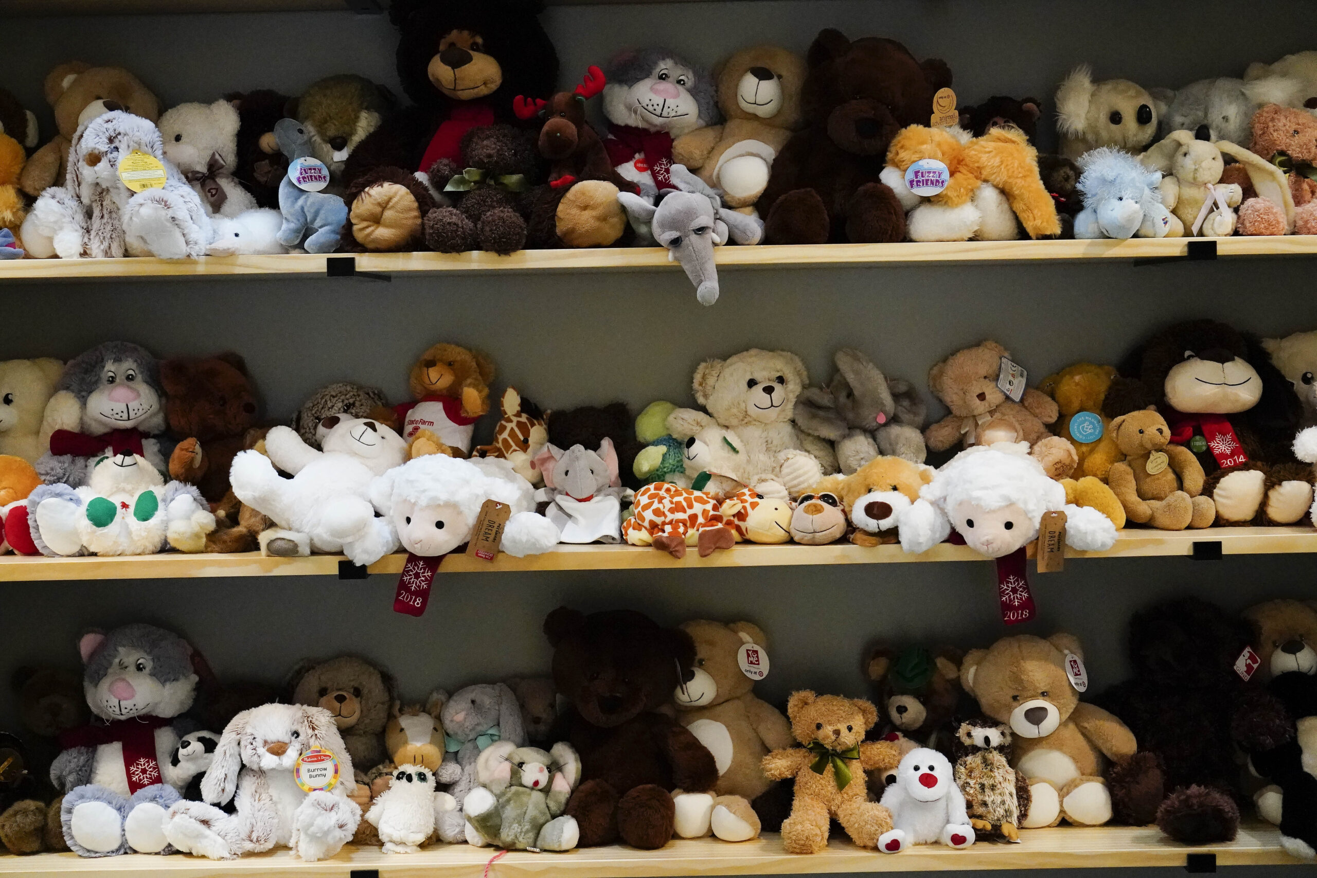 Stuffed animals on shelves at the Georgia Center for Child Advocacy.