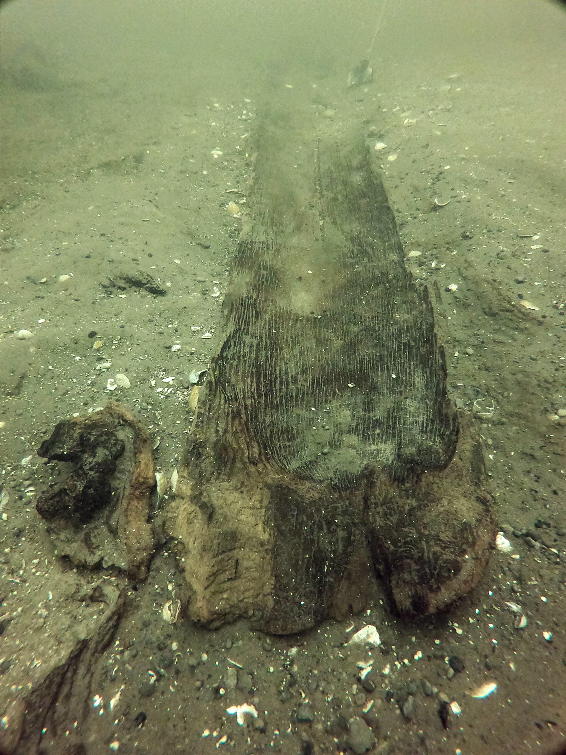 Up to 11 ancient canoes found in Madison’s Lake Mendota, archaeologists say