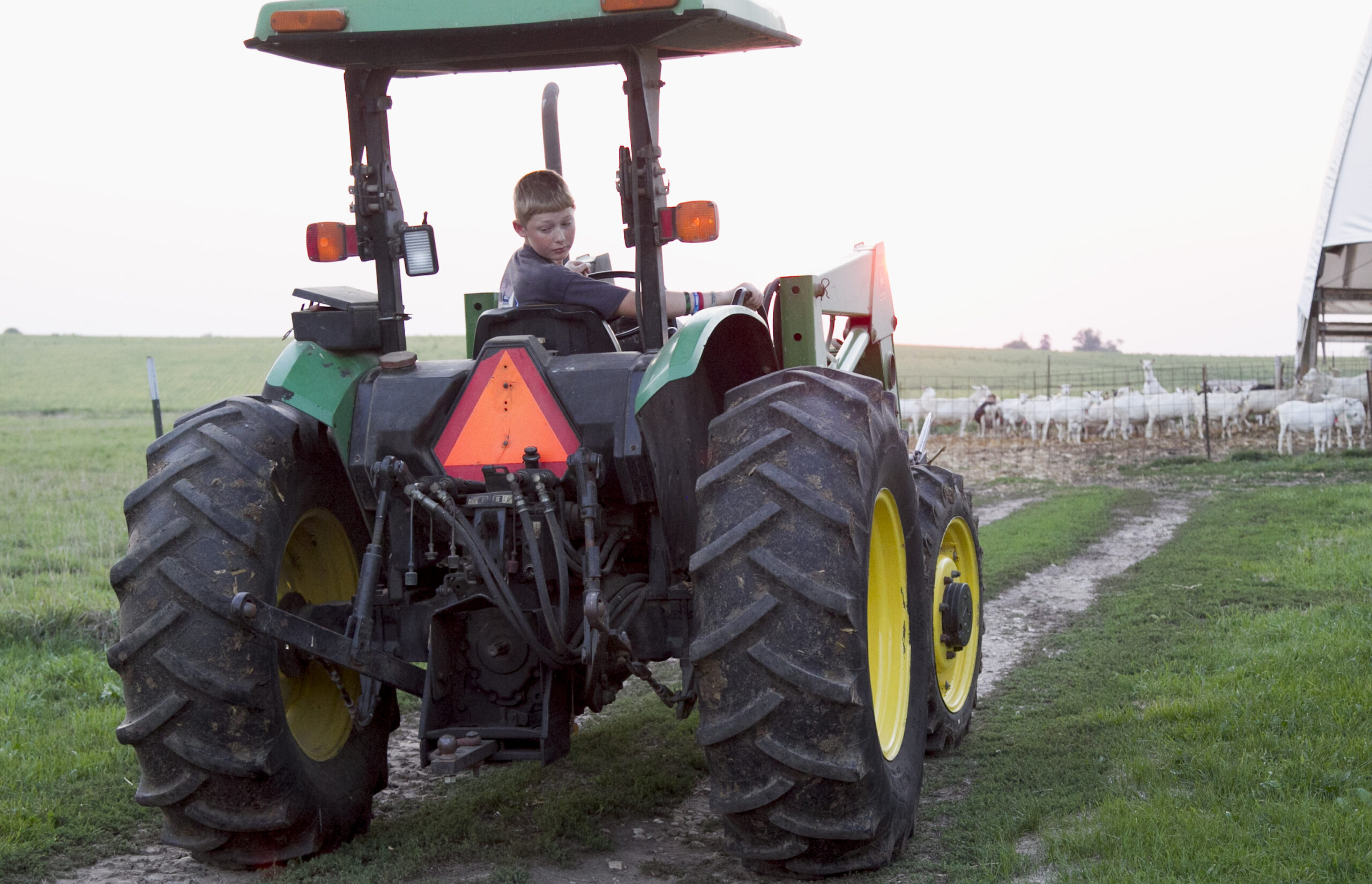 12 year-old Mark Gregoricka backs up his family's tractor