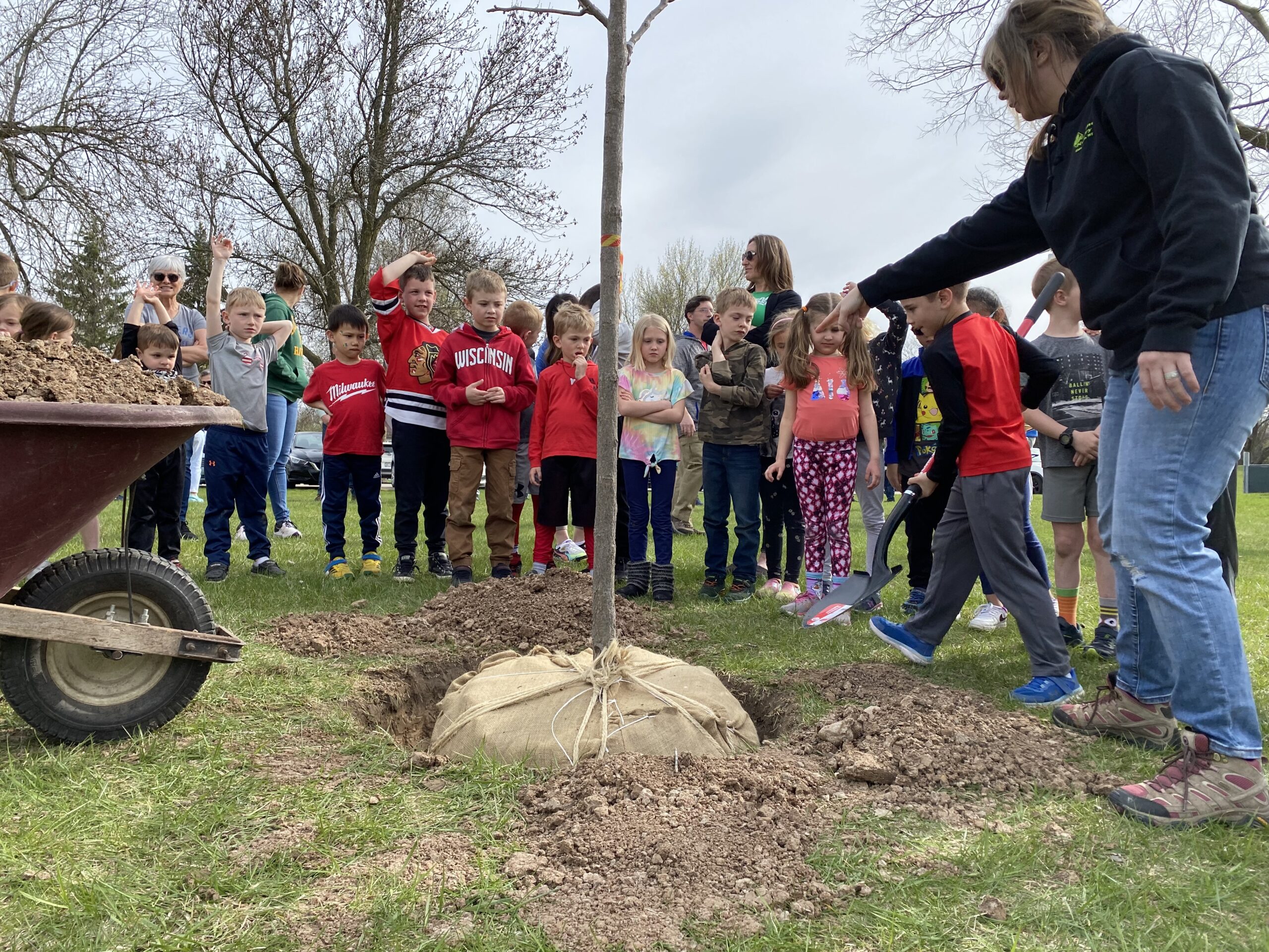 There’s a plan in Wisconsin to plant 100M trees before 2030. Here’s how you can help.