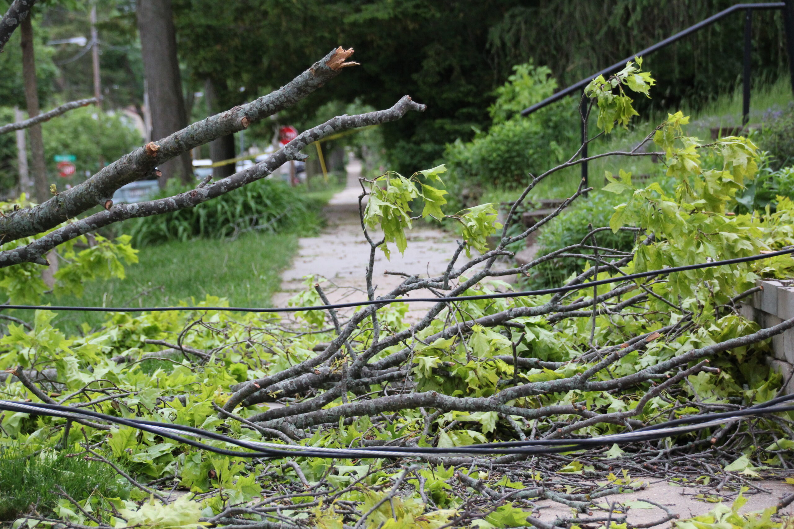 Downed branches and power lines block a Madison sidewalk after powerful storms ripped through the city Tuesday night.