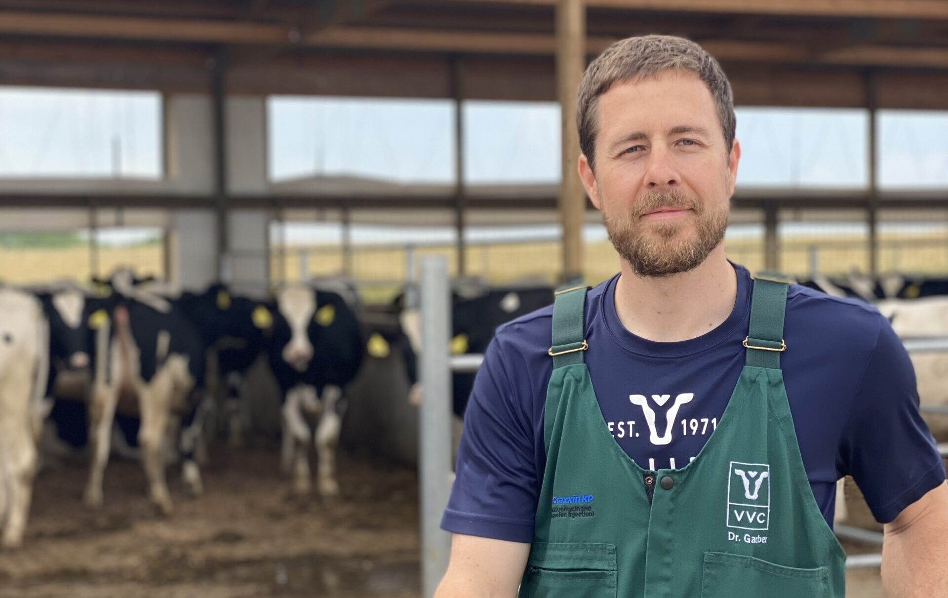 Dr. Jon Garber, a cattle veterinarian, stands in front of cows.
