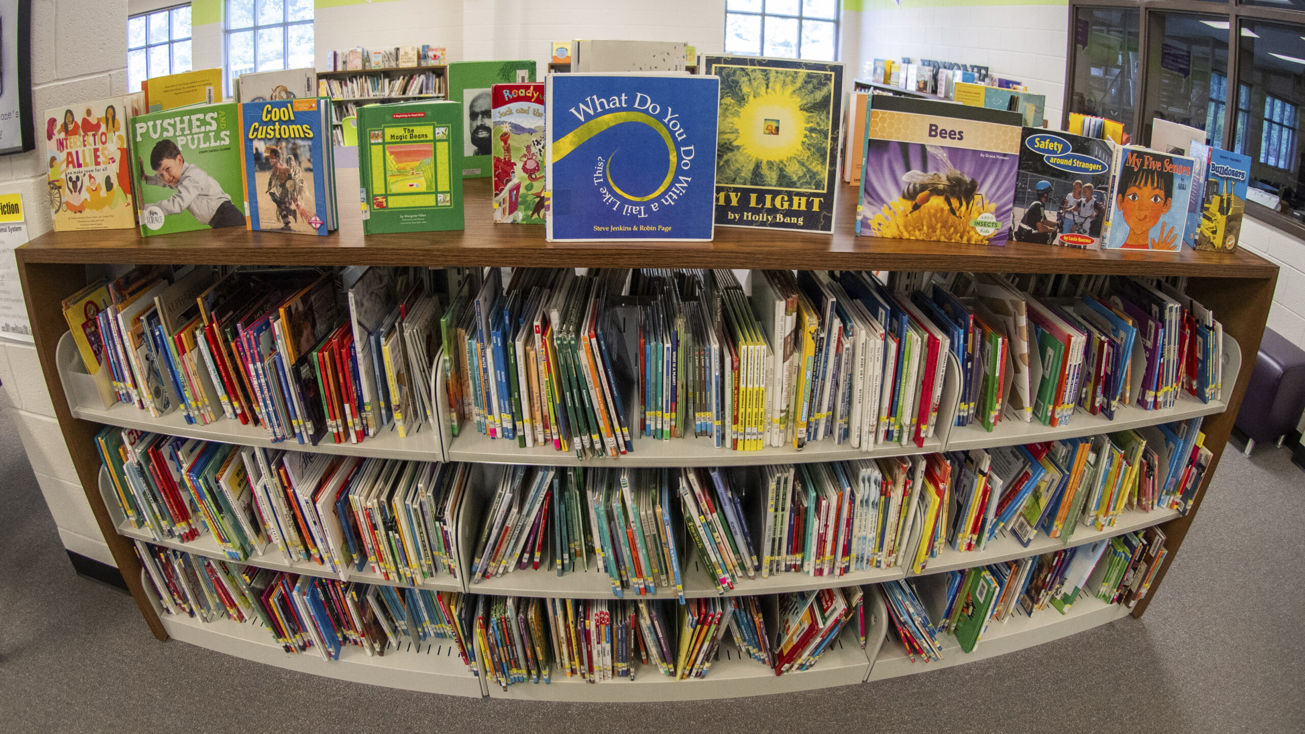 A wide bookcase displays numerous colorful library books