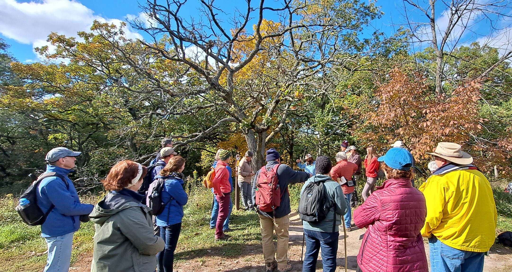 Wisconsin Master Naturalists, Ho-Chunk Nation to host ‘Caring for Grandmother Earth’ volunteer summit