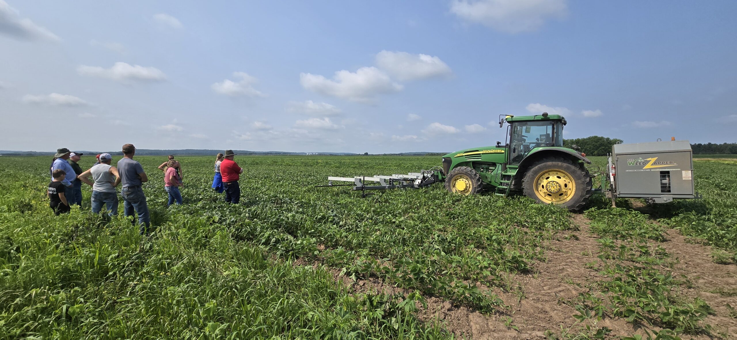 Wisconsin farmers re-evaluate weed management after rainy spring, dry ...