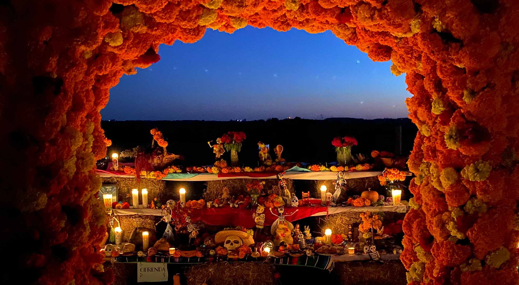 A colorful yellow and orange flower arch surrounds a layered display of flowers and skulls against a night sky