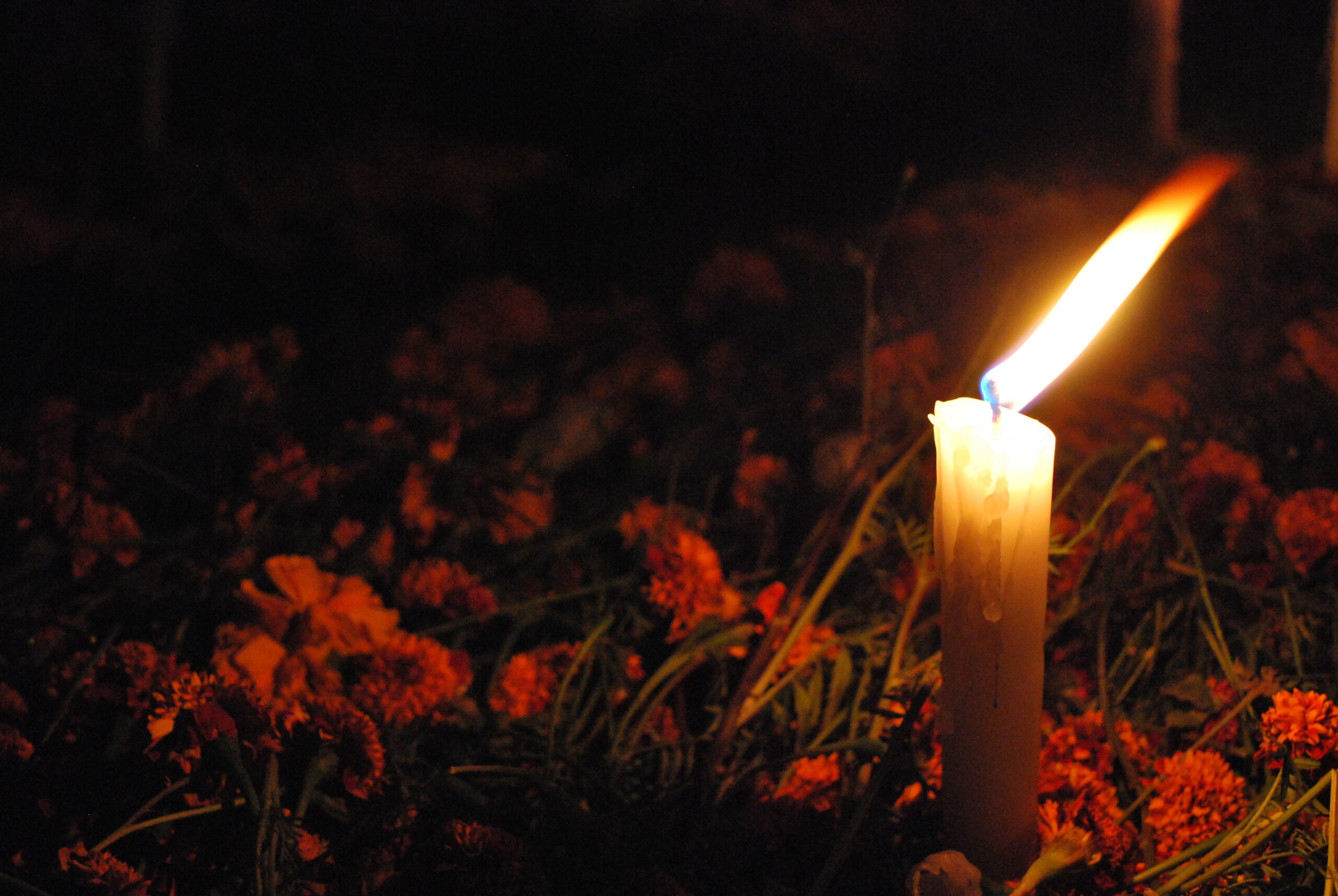 ‘The Altar’: Observing Día de los Muertos through poetry