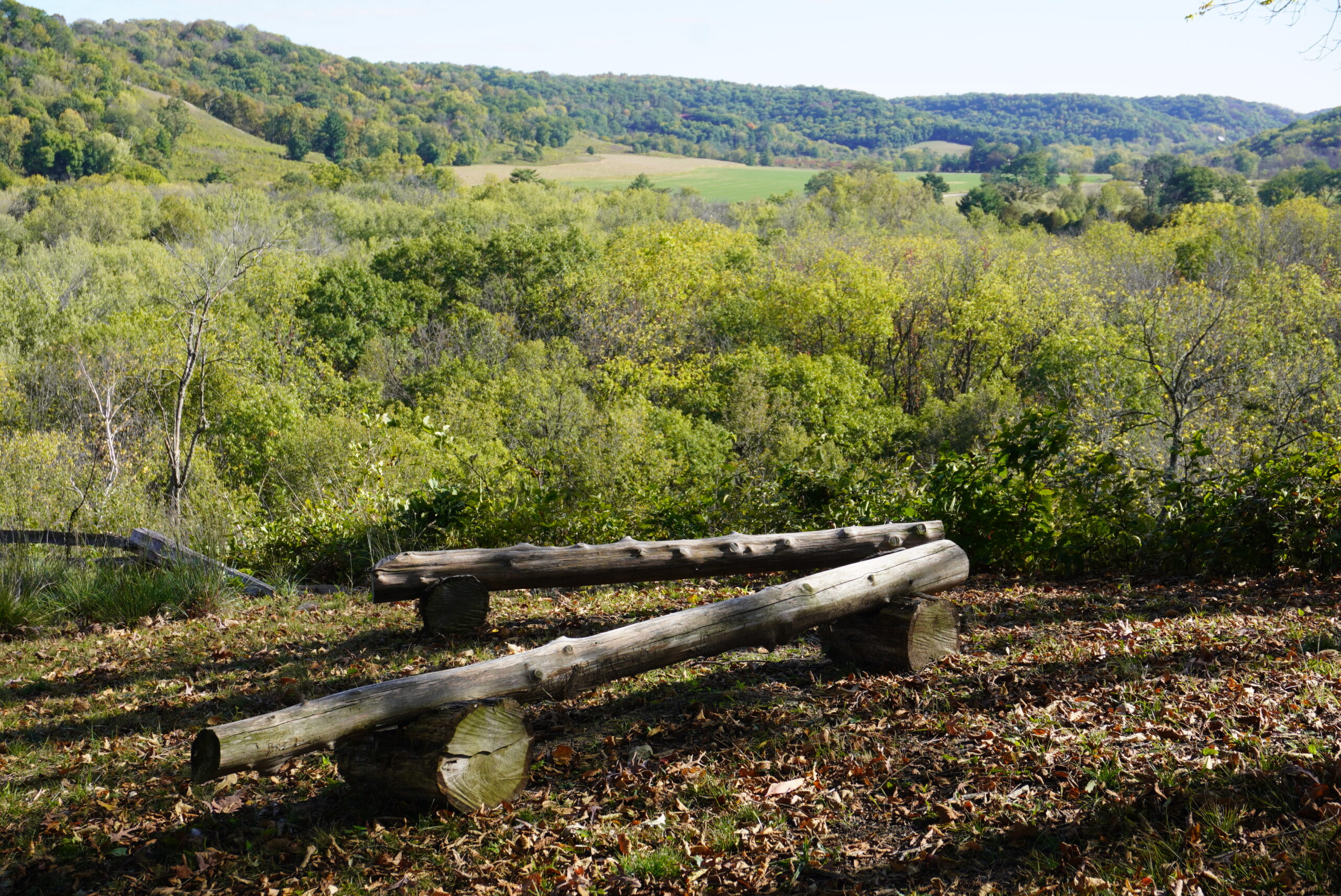 A bench made from tree trunks on a hiking trail with green trees in the background