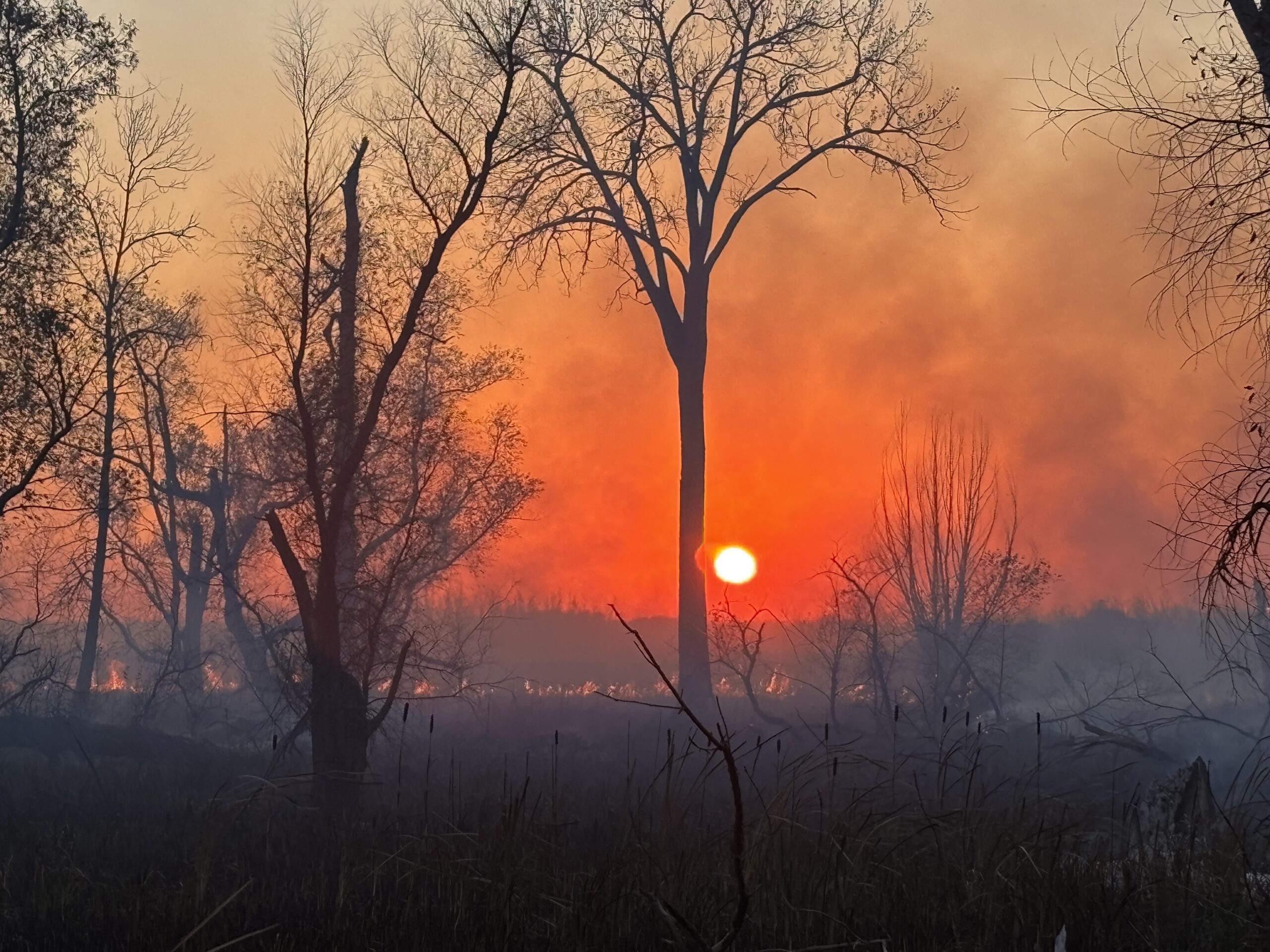 How to prevent and prepare for wildfires in Wisconsin