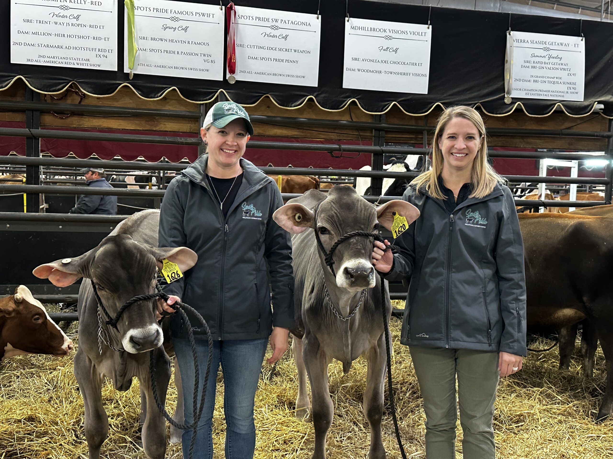 (Left) Amy Yeiser Leslie holding the calf PSwift and (right) Emily Yeiser Stepp holding the calf Patagonia at the 2024 World Dairy Expo cattle competition in Madison.