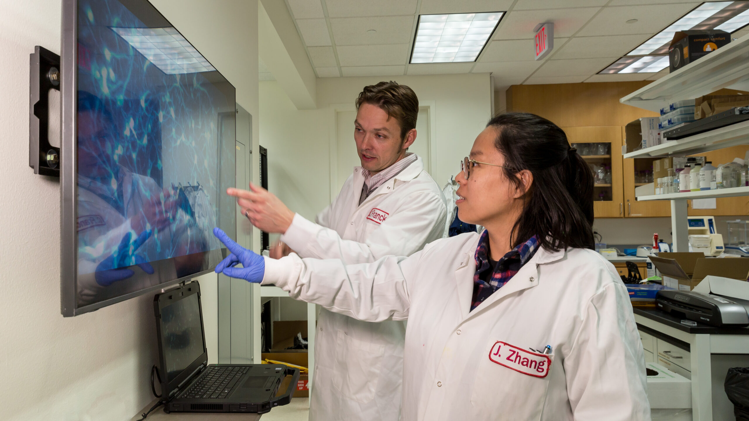 Do pulsed microwaves cause brain injuries? UW-Madison researchers work to find out