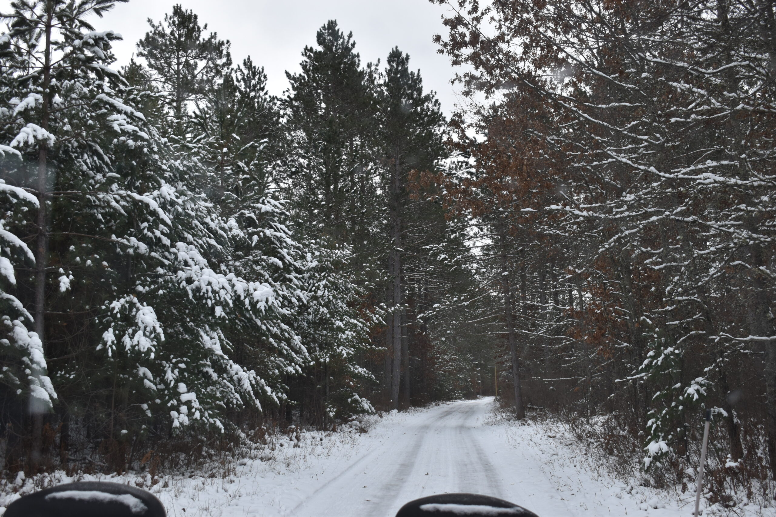 Snowy trail at Boulder Junction's Winter Park, site of a new ice skating ribbon.