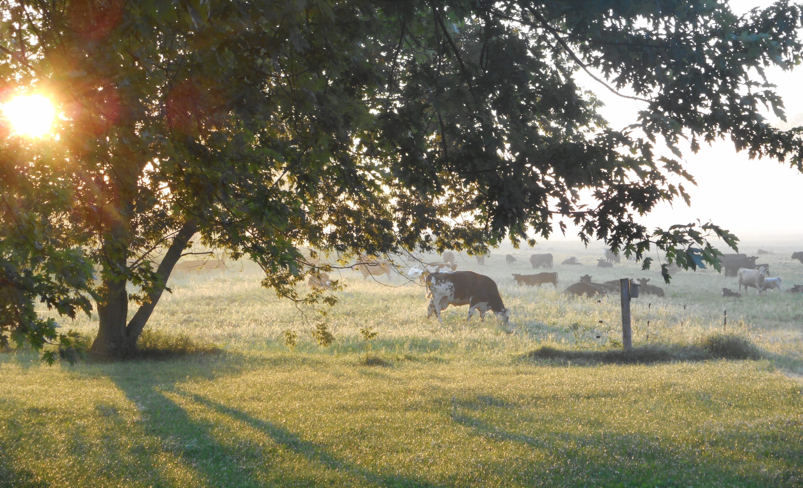 Leopold Conservation Award recognizes farm near Green Bay for its sustainability efforts