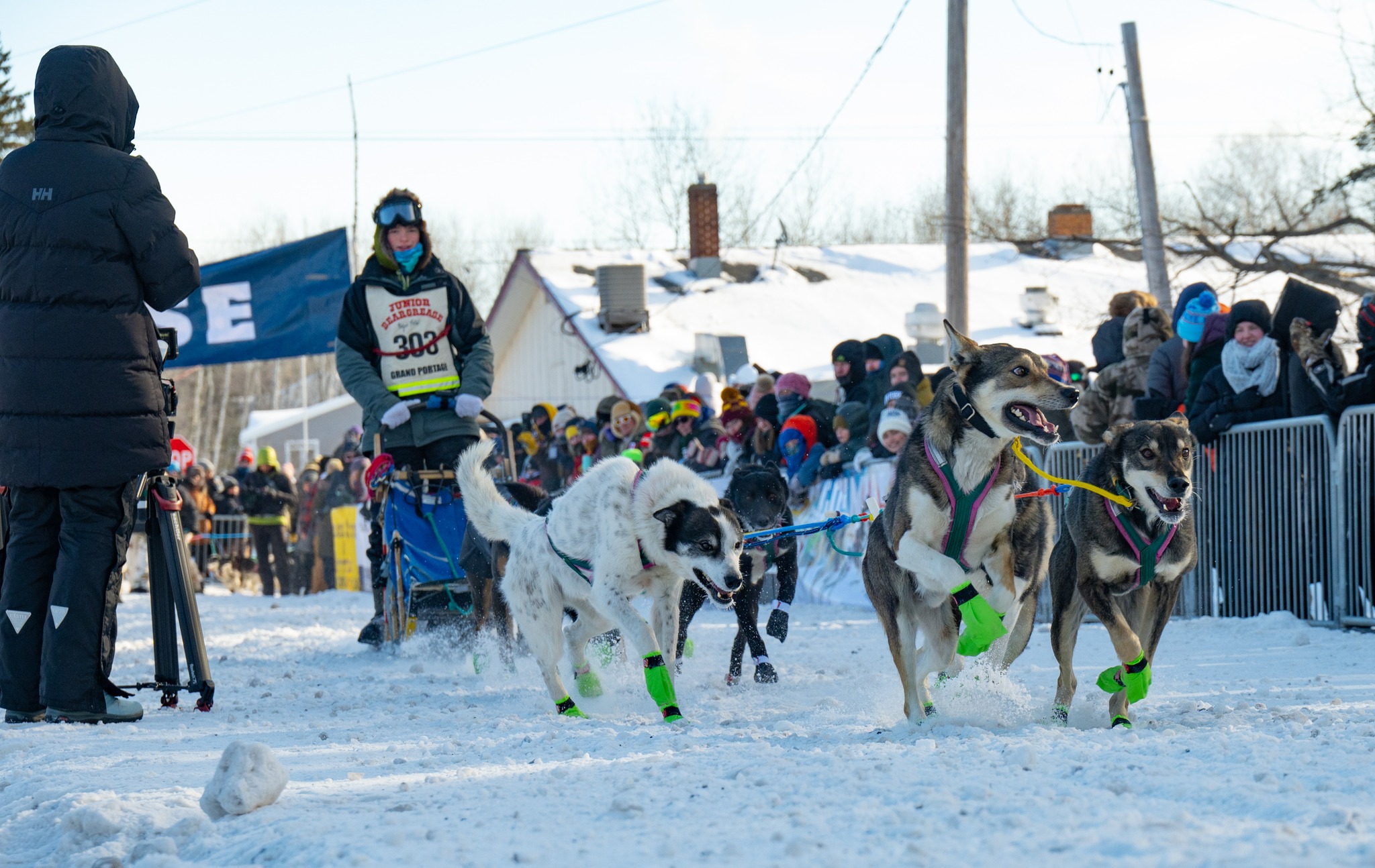 Grueling sled dog competition not too ‘mush’ for this young champion