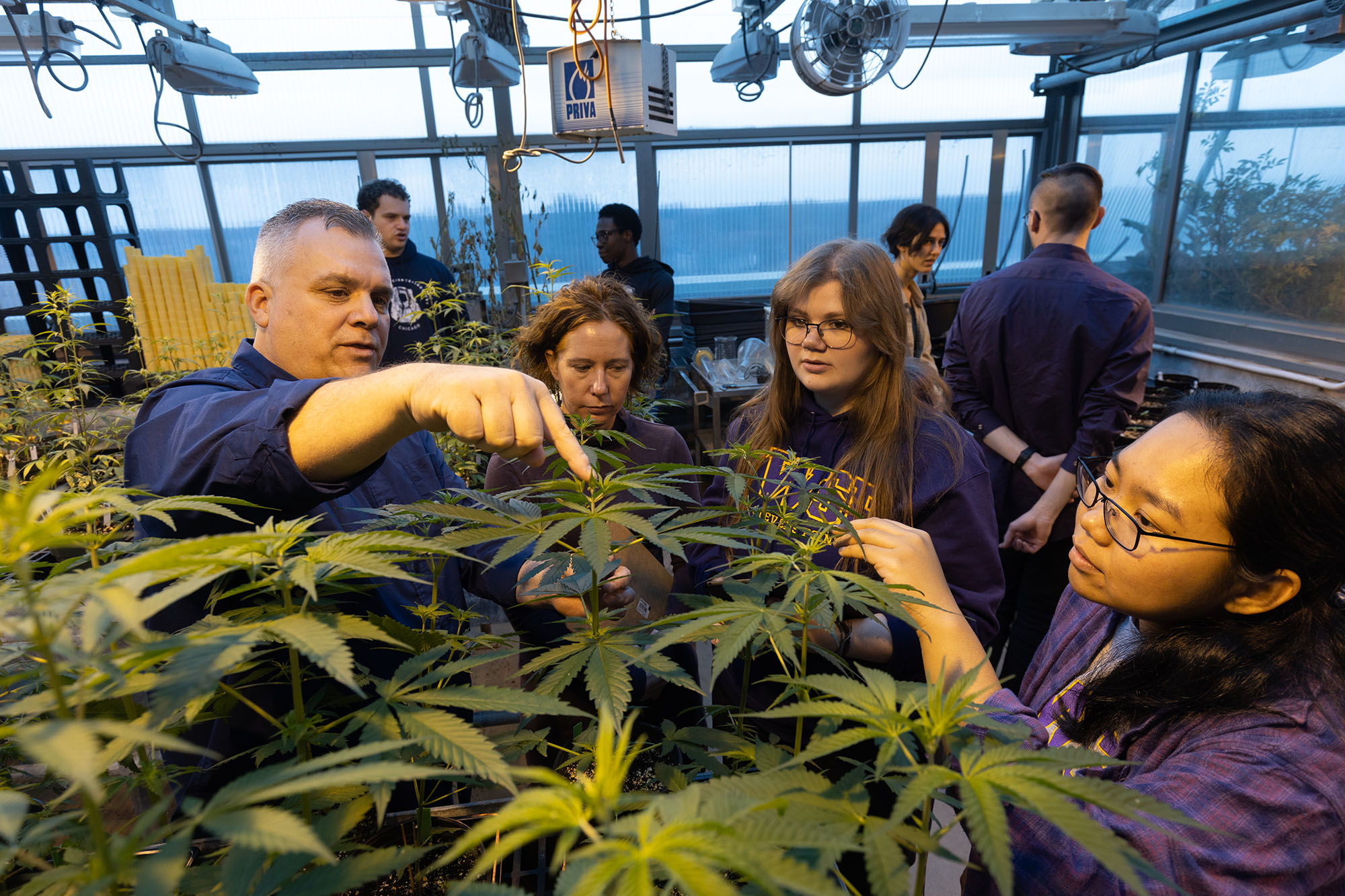 UW-Stevens Point program teaches about the science of cannabis