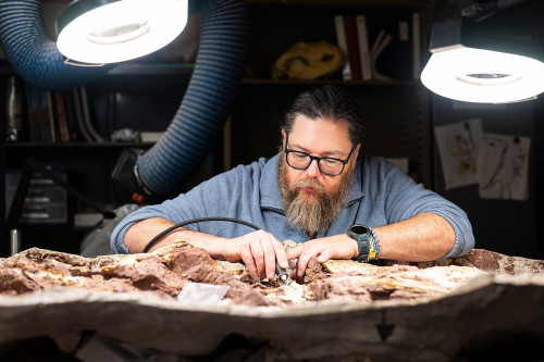 UW-Madison scientists help discover North America’s oldest dinosaur