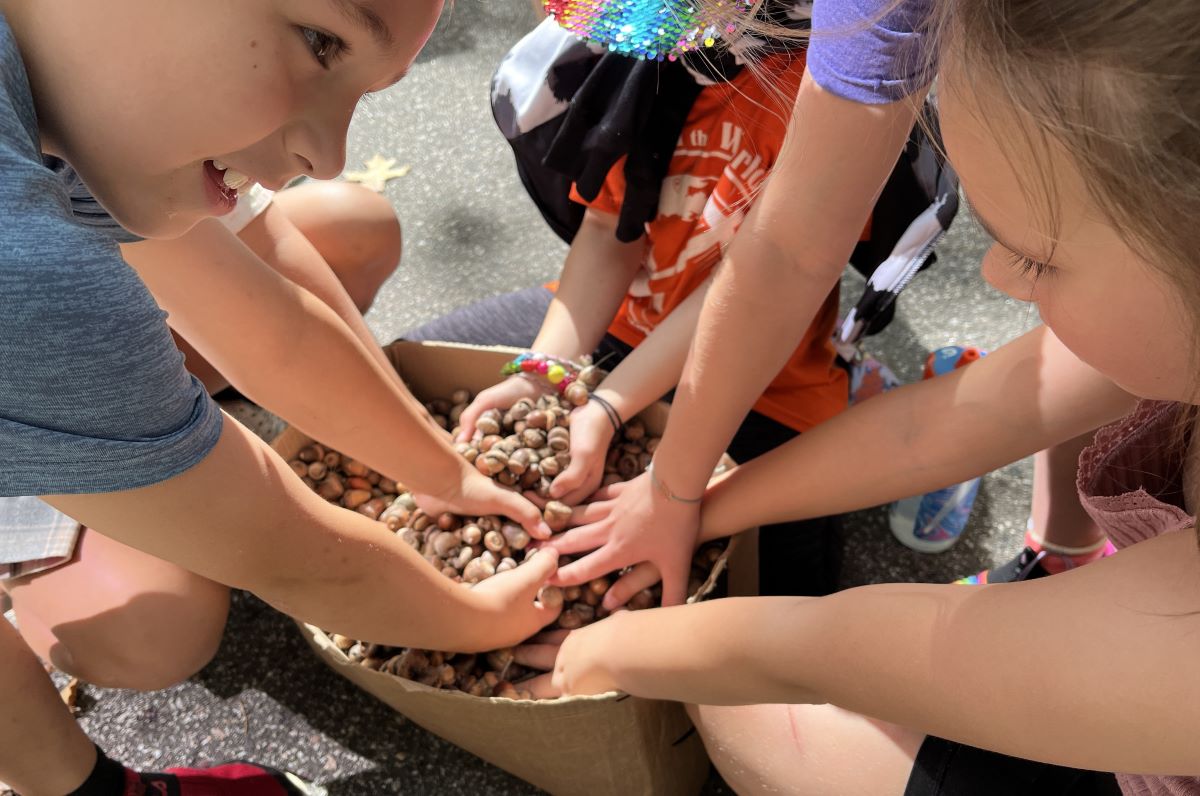 LEAF program engages K-12 students in tree seed collection to support reforestation