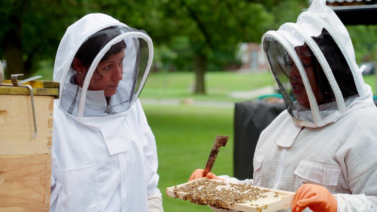 Ask This Old House:Beehives 101; Step Stool