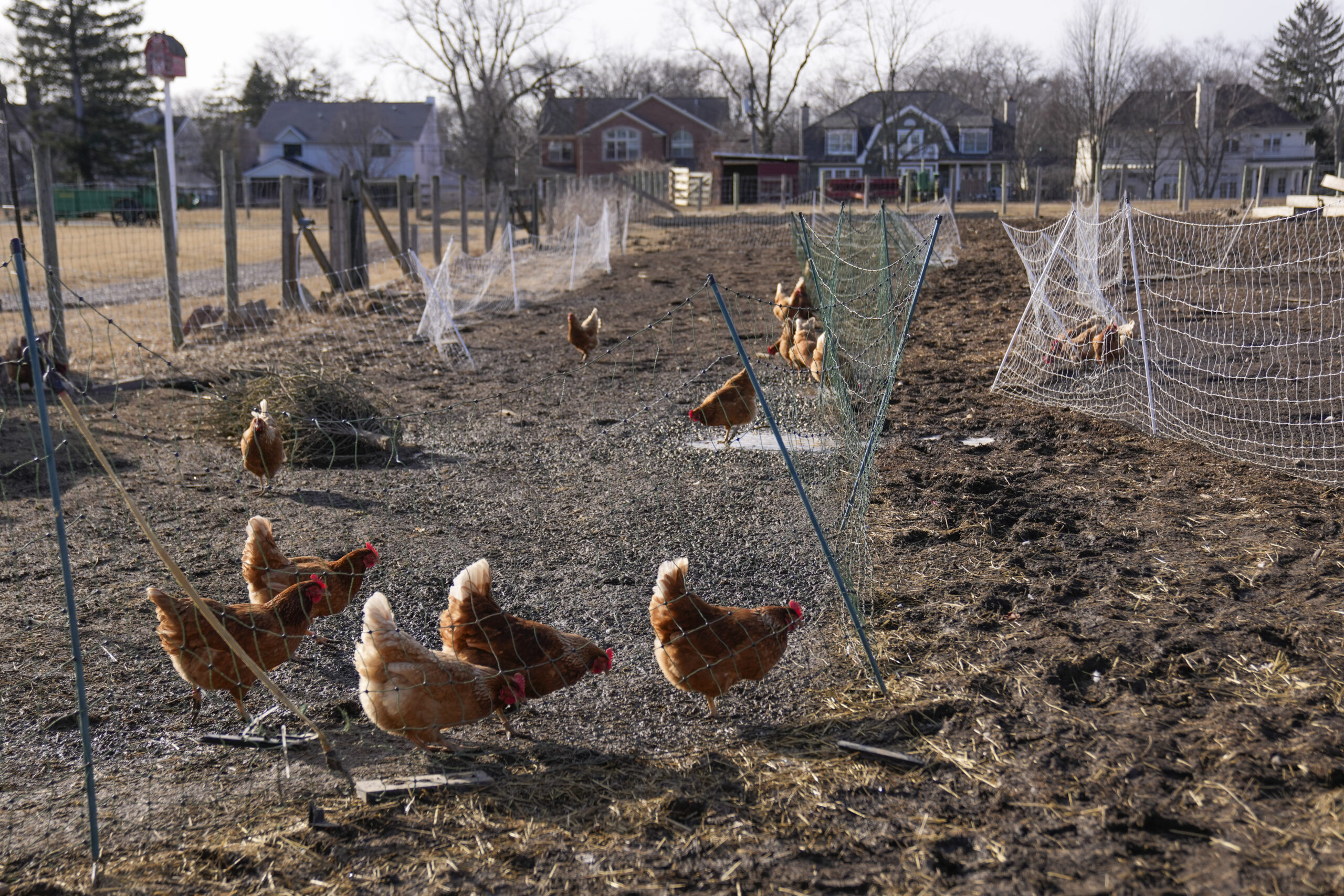 Tracking the progress of avian flu on Wisconsin farms