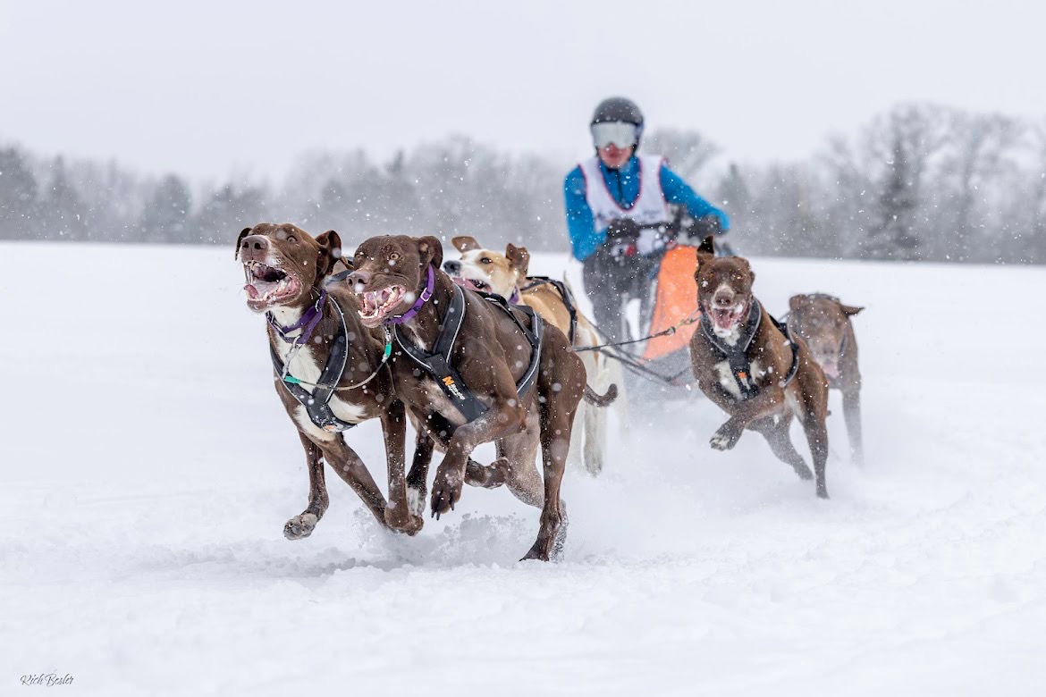 Sled dog racing thrives in north central Wisconsin as mushers prepare for upcoming events