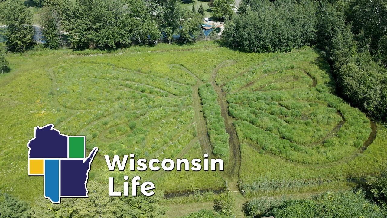 Wisconsin Life:Butterfly Gardens of Wisconsin