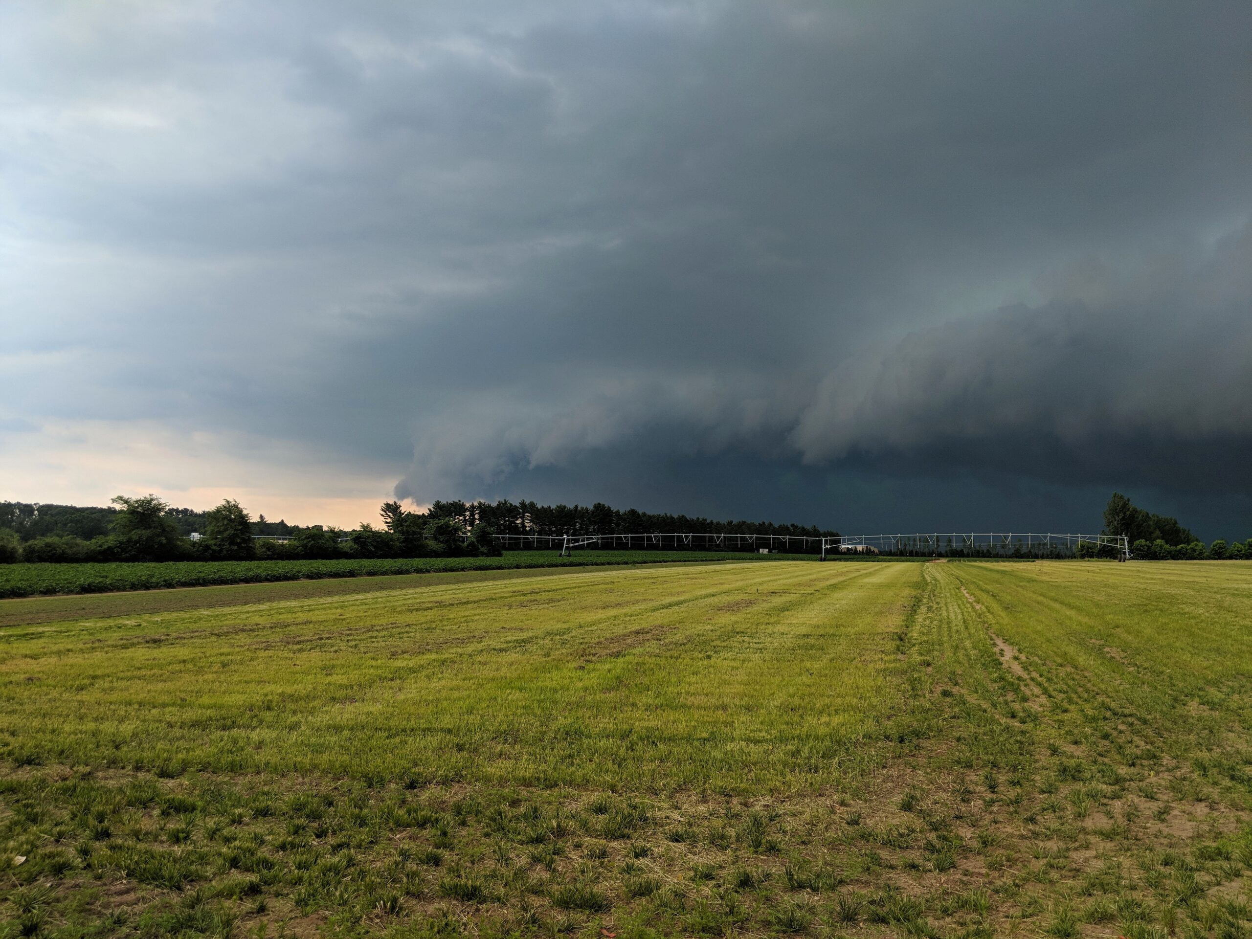 A wide field with green grass under a dark, looming stormy sky. Dense clouds gather on the horizon above distant trees.