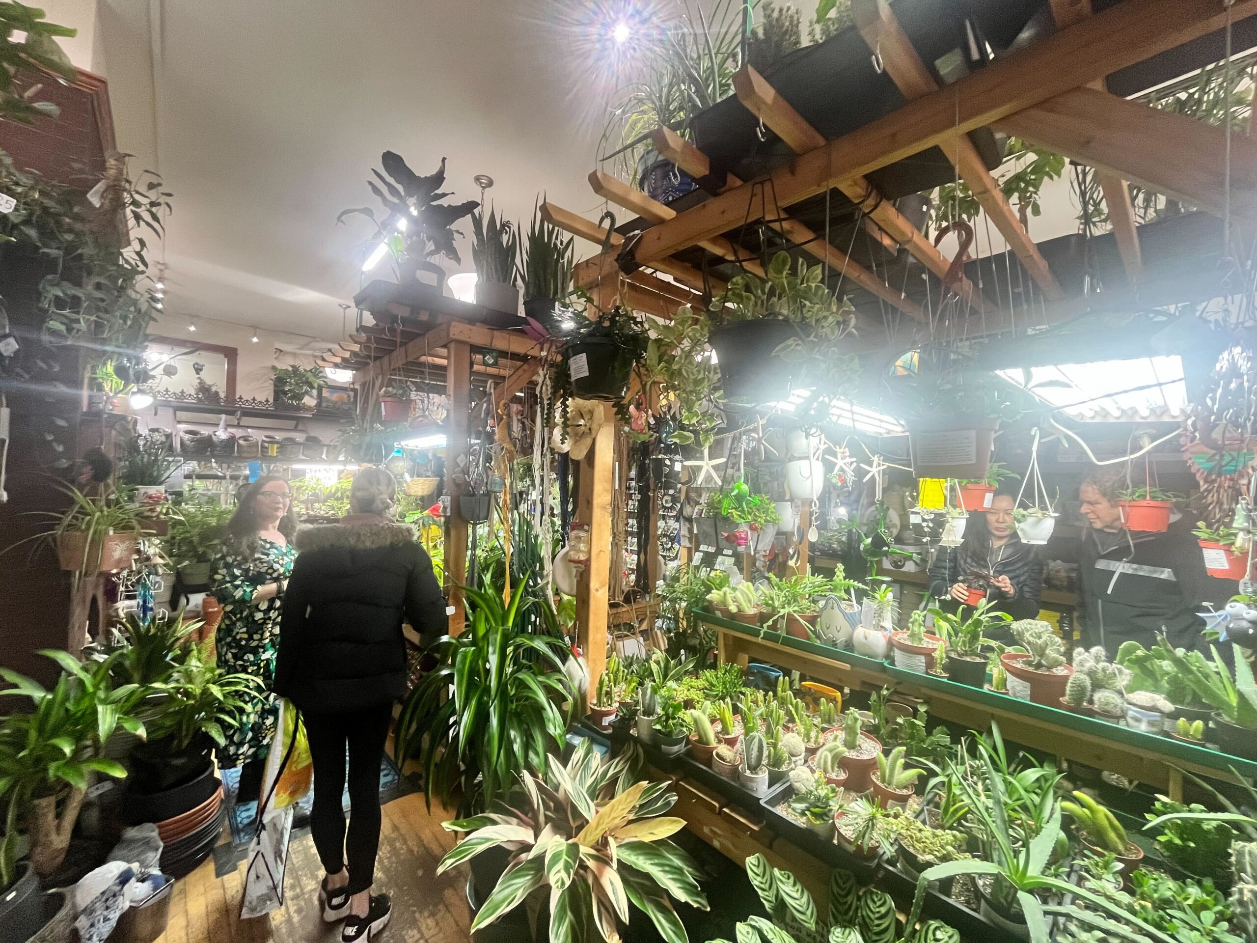 A group of people browsing plants in a densely packed indoor garden shop with various potted plants and hanging greenery.